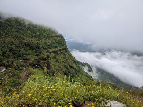 Breathtaking view of a mountainous landscape adorned with green foliage and misty clouds.