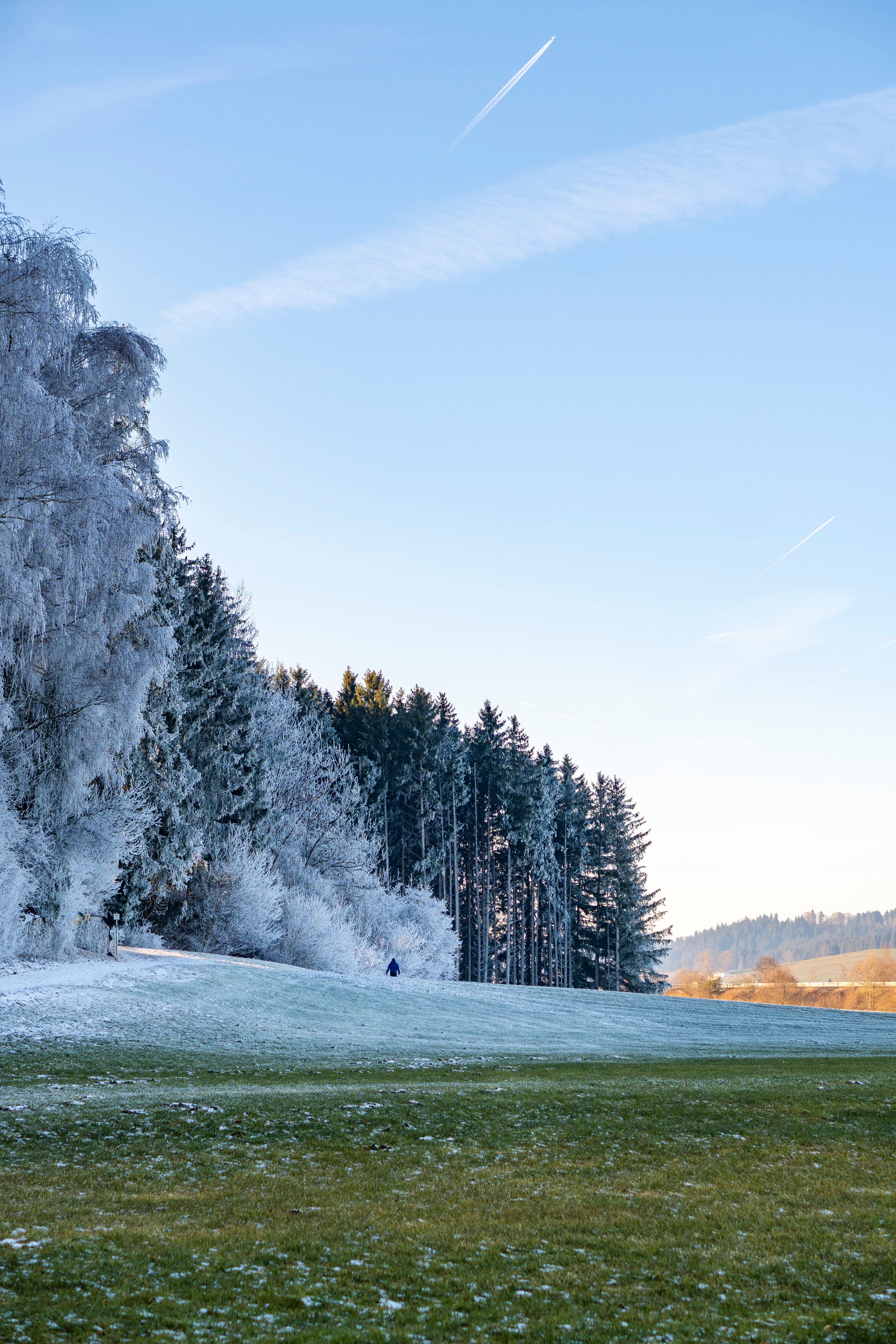Winter Landscape with Frosted Trees and Clear Sky · Free Stock Photo