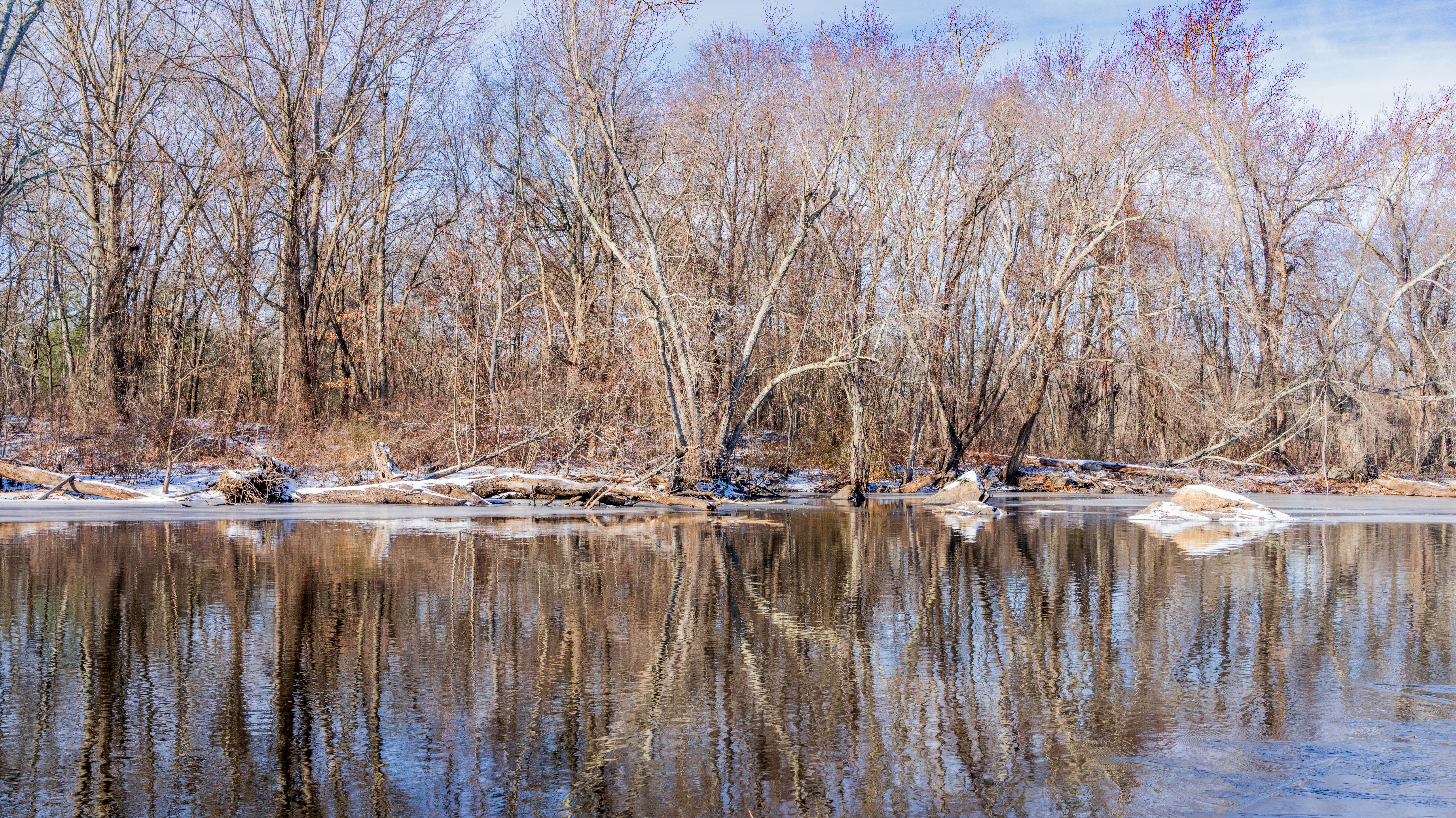 Winter Landscape with Bare Trees Reflecting in Lake · Free Stock Photo