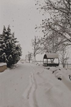 A tranquil snowy scene in Düzce with snow-covered trees and path.
