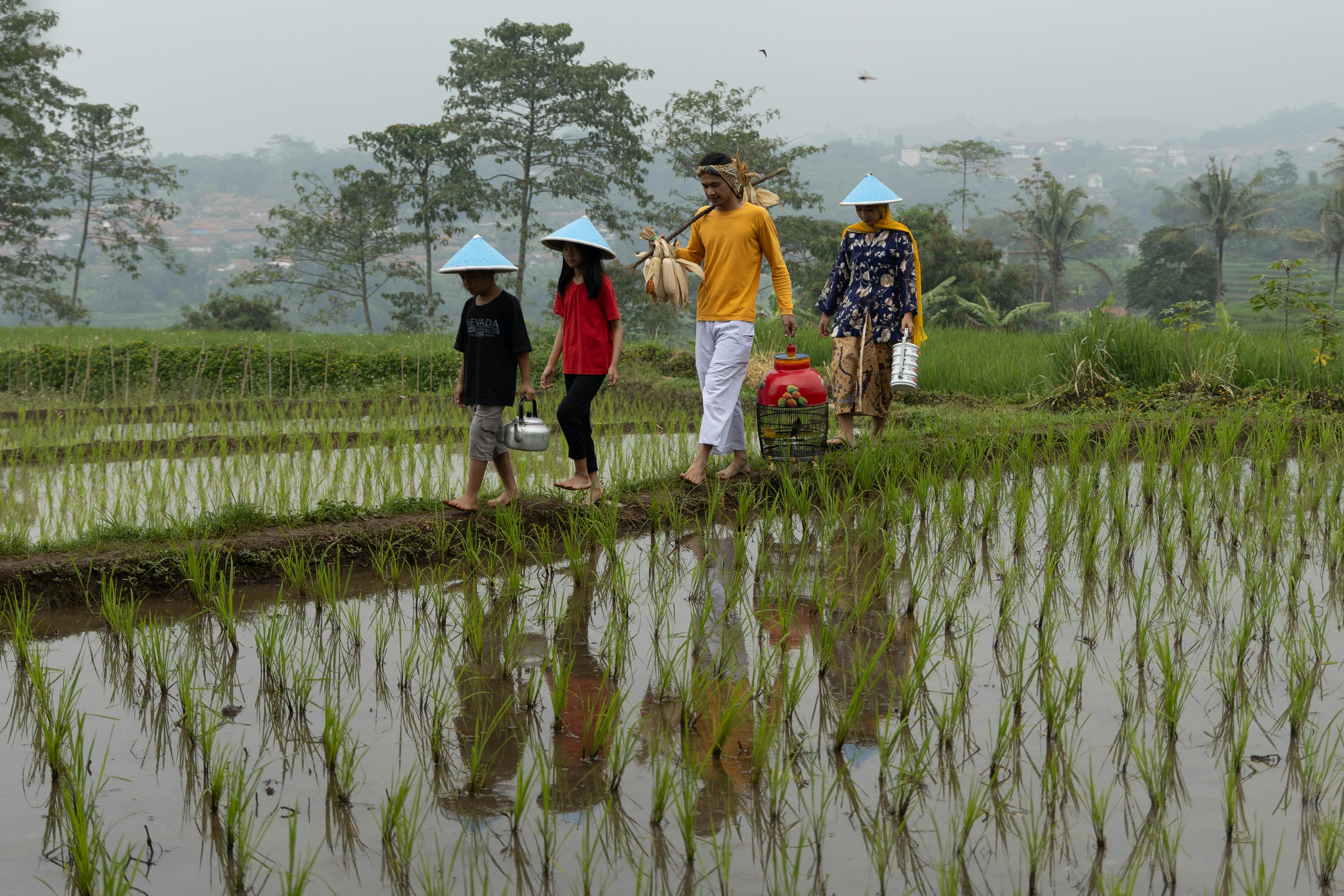 Java O Reilly J2Me In A Nutshell Decrypted