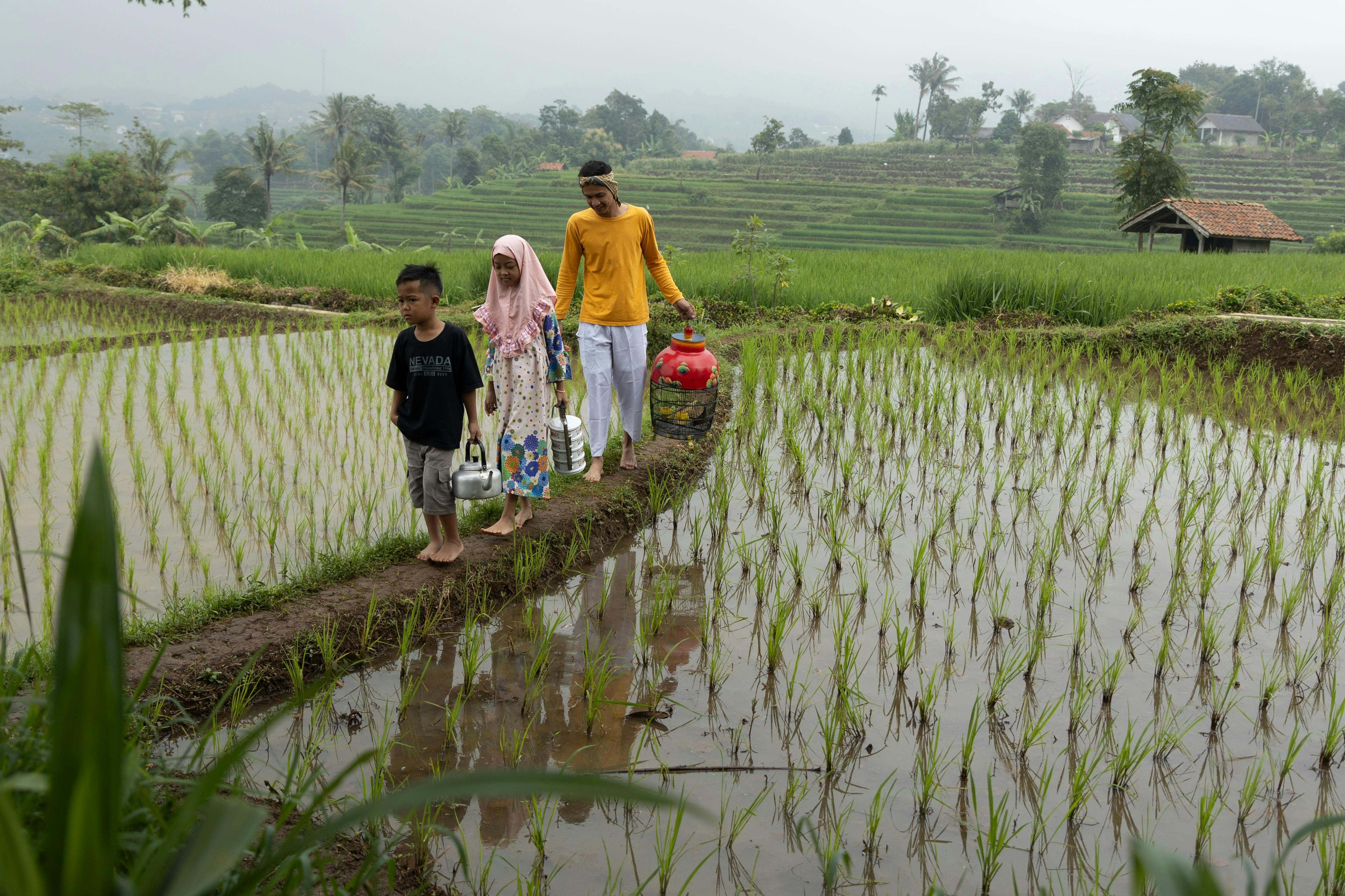 Java For Absolute Beginners