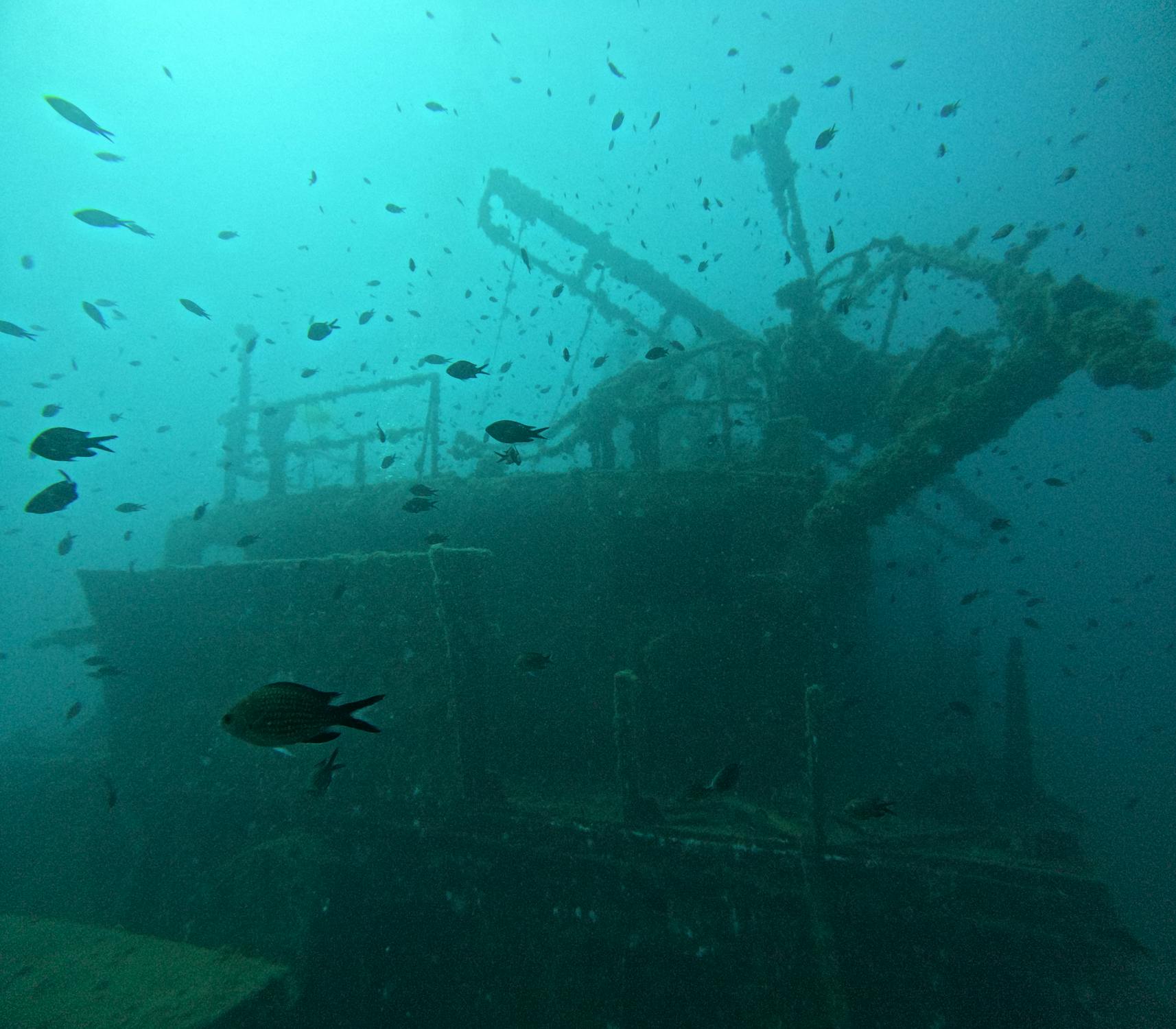 【潛點完全攻略】桶盤(澎湖)- 柱狀玄武岩的地質奇觀:潛入上帝的石雕公園