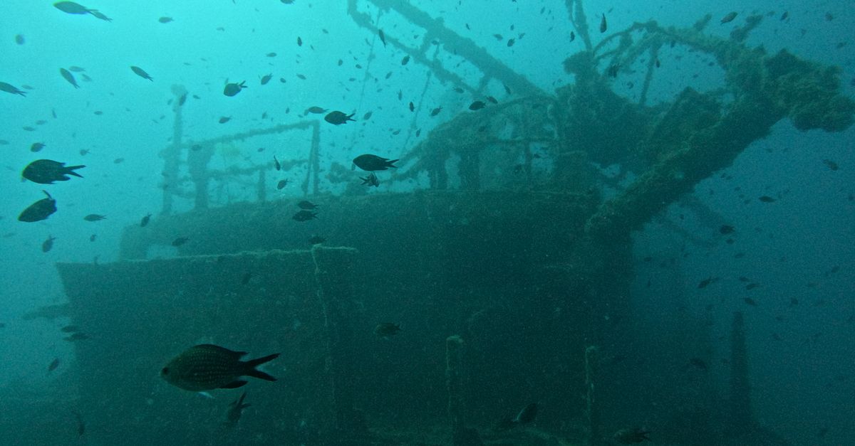 Norman Island Scuba Diving — Caribbean travel guide