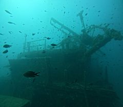 Eel Garden