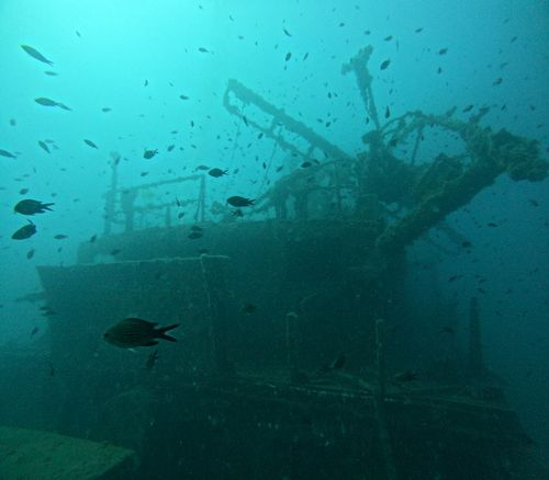 MS Zenobia