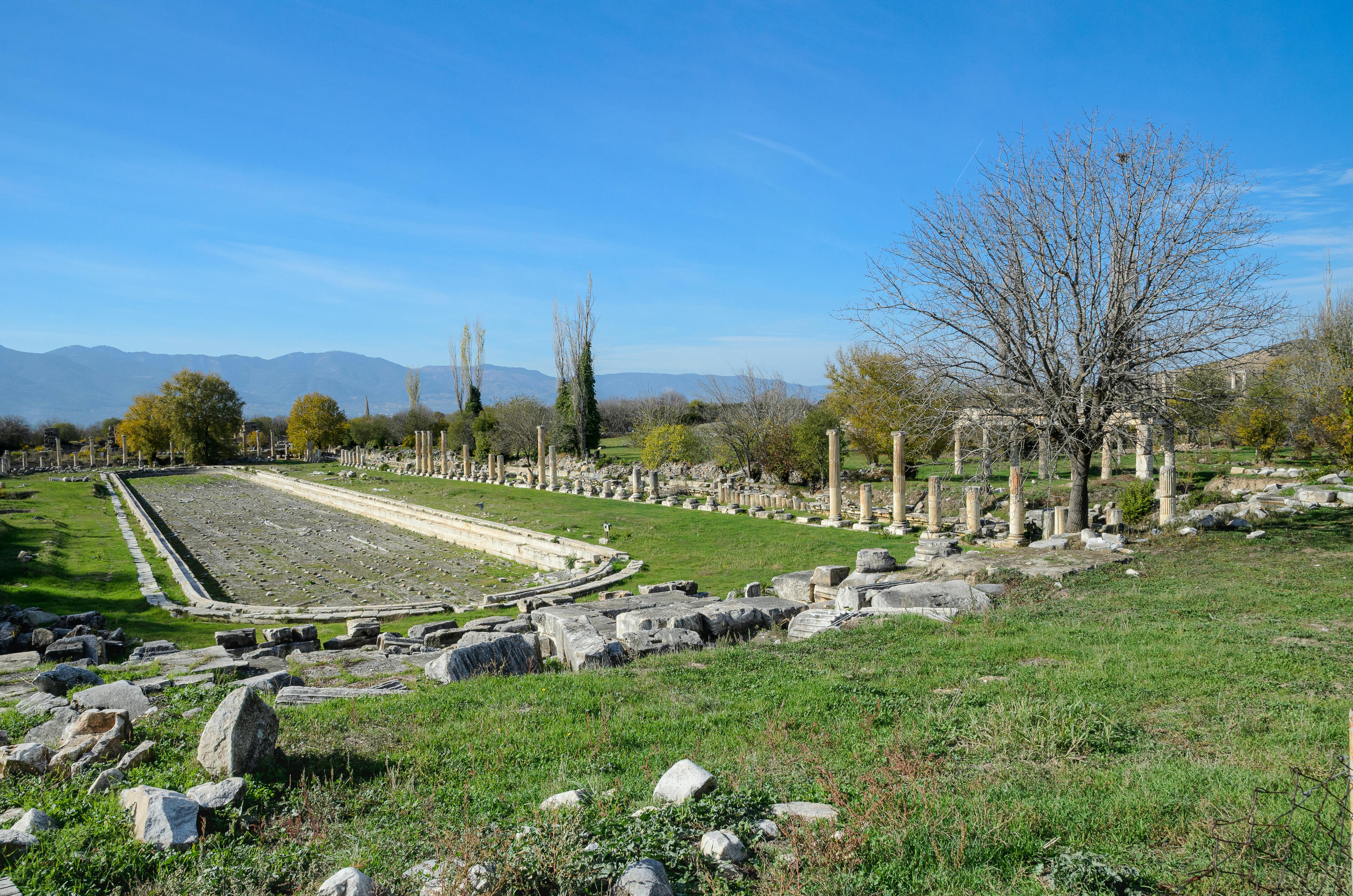 Adhesion Of Polymers (Vladimir Kestelman Roman Veslovsky)