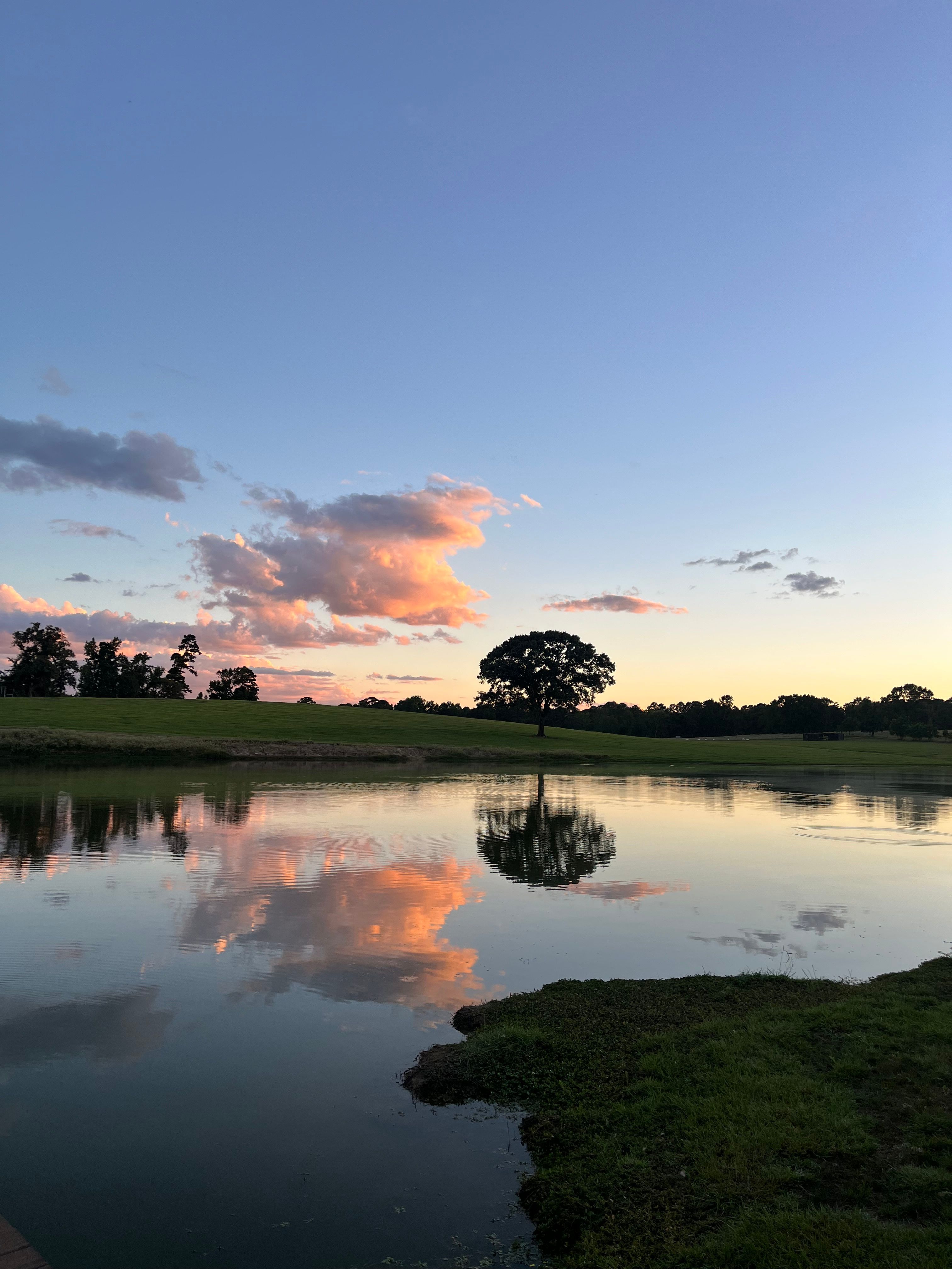 Tranquil Lake Sunset with Reflection · Free Stock Photo