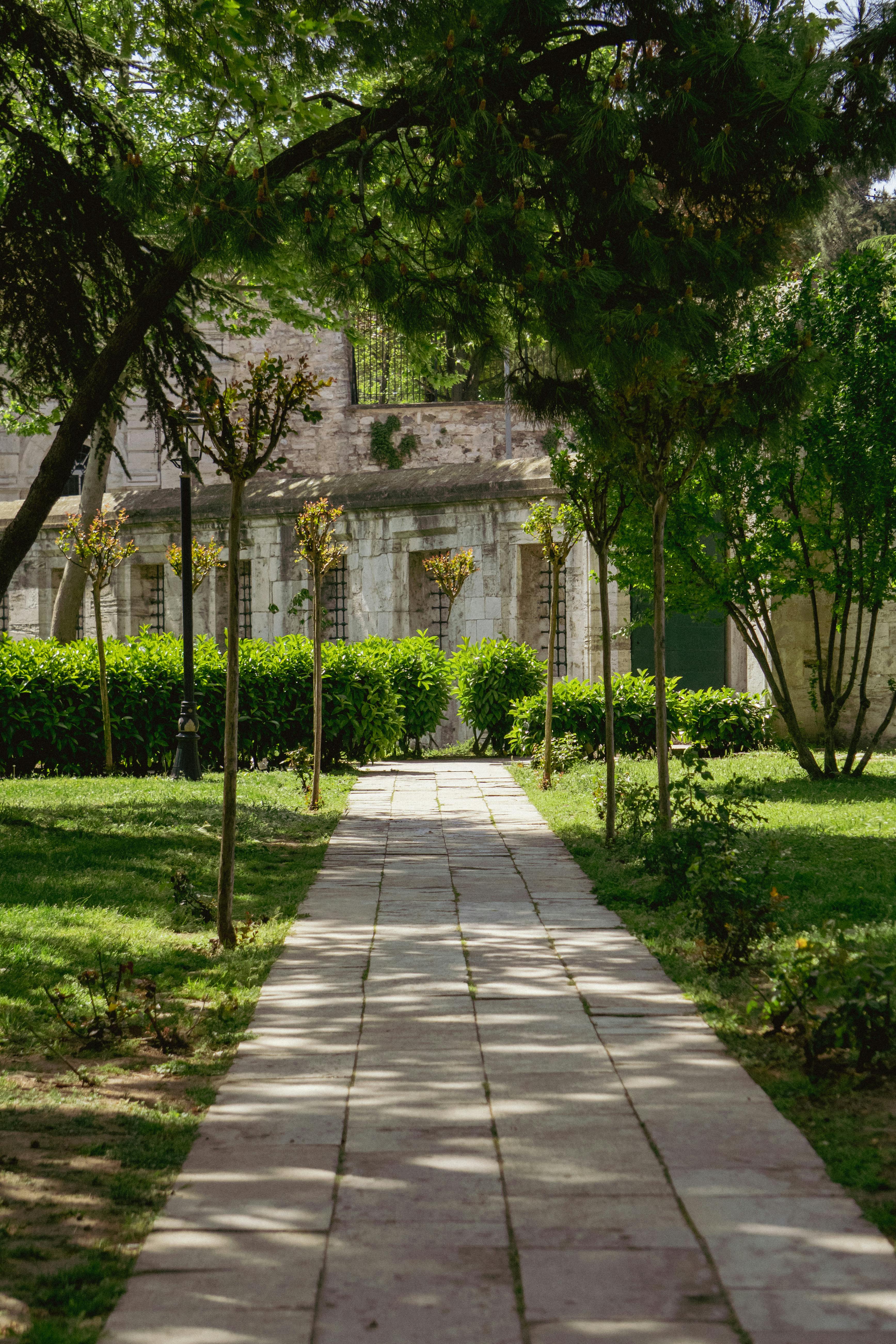 grátis Um caminho pavimentado pitoresco que atravessa um exuberante jardim verde em Istambul, Turquia, sob um céu ensolarado. Foto profissional