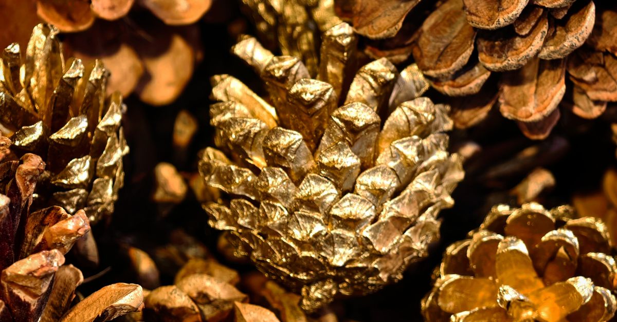 Piñas Doradas En Un Cálido Entorno Natural · Foto de stock gratuita