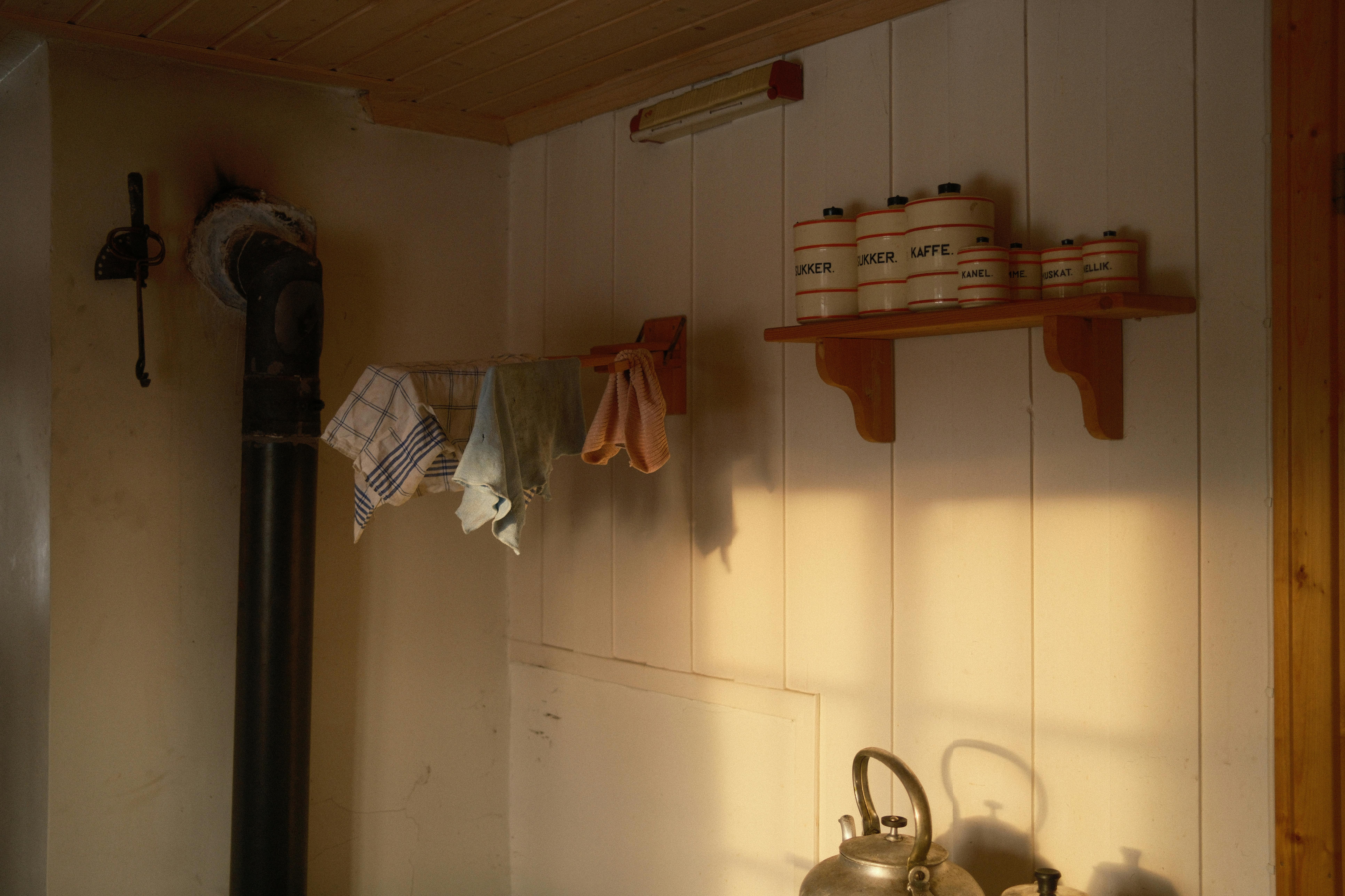 روزانہ ایک کپ بیںز کے صحت کے فوائد کی تصویر