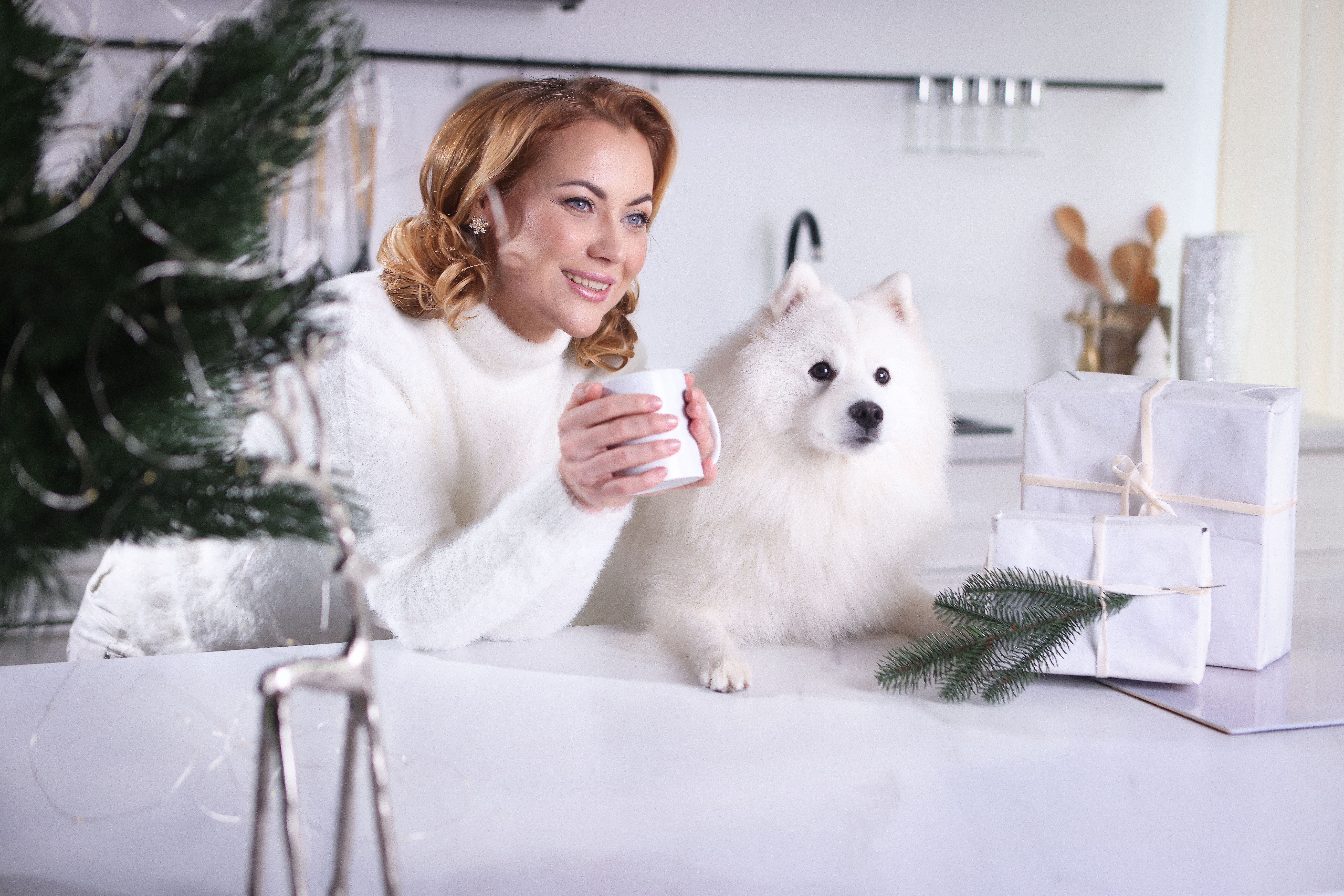 Woman Enjoying Cozy Winter Indoors with Dog · Free Stock Photo