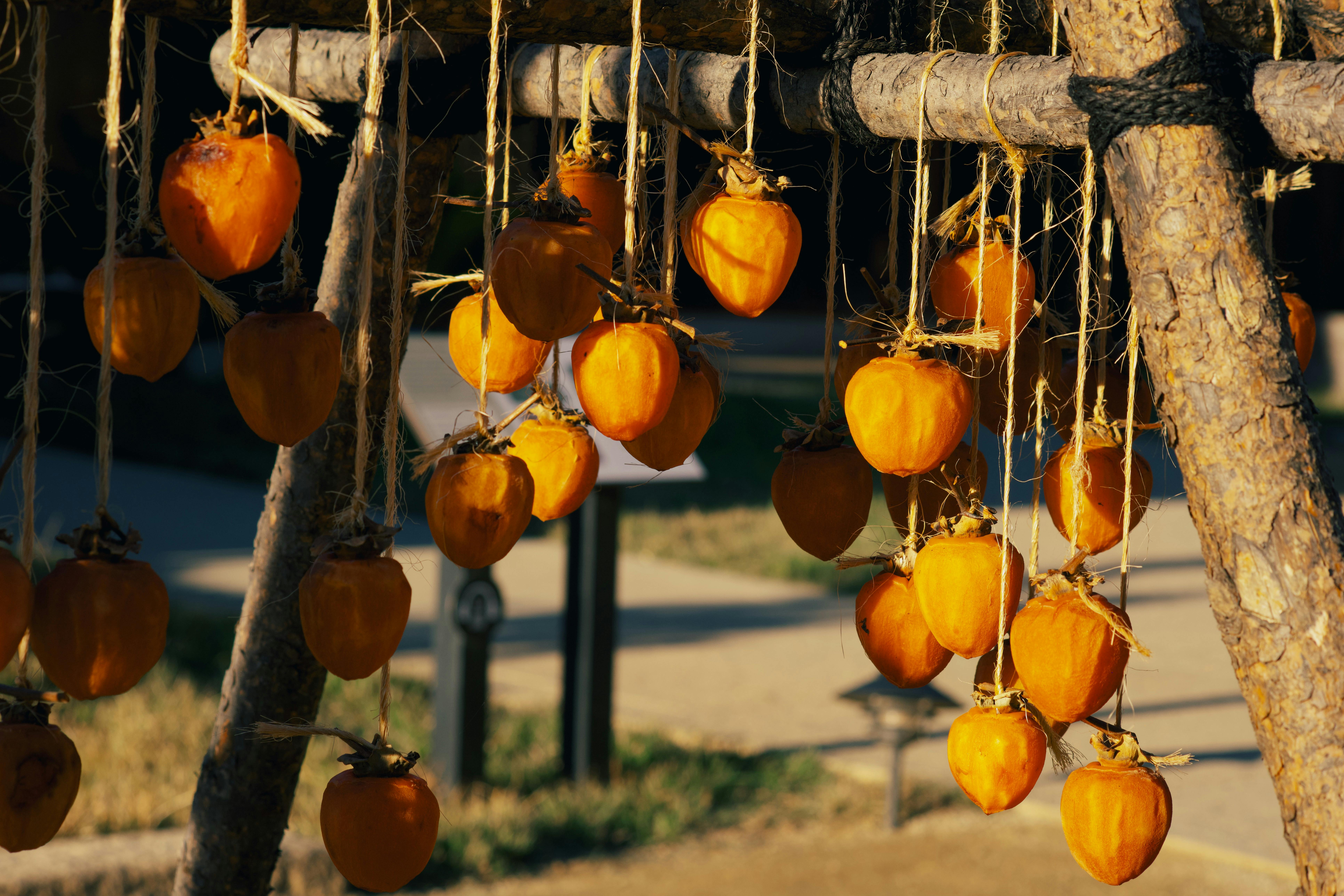 Gratis arkivbilde med appelsin frukt, avling, bakgrunn Arkivbilde