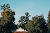 Serene Asian-Inspired Garden Landscape