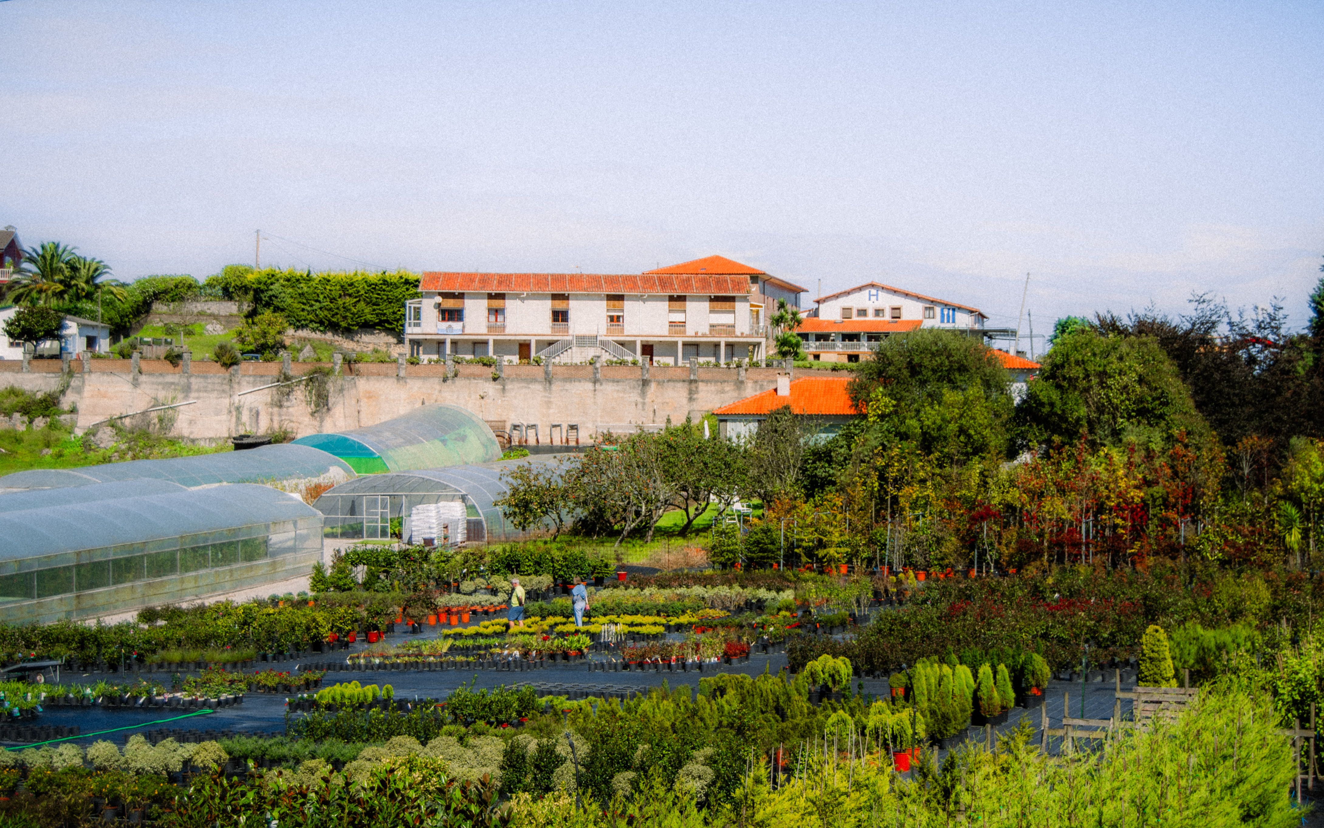Parque de Ferrera