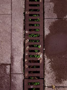 French Drains