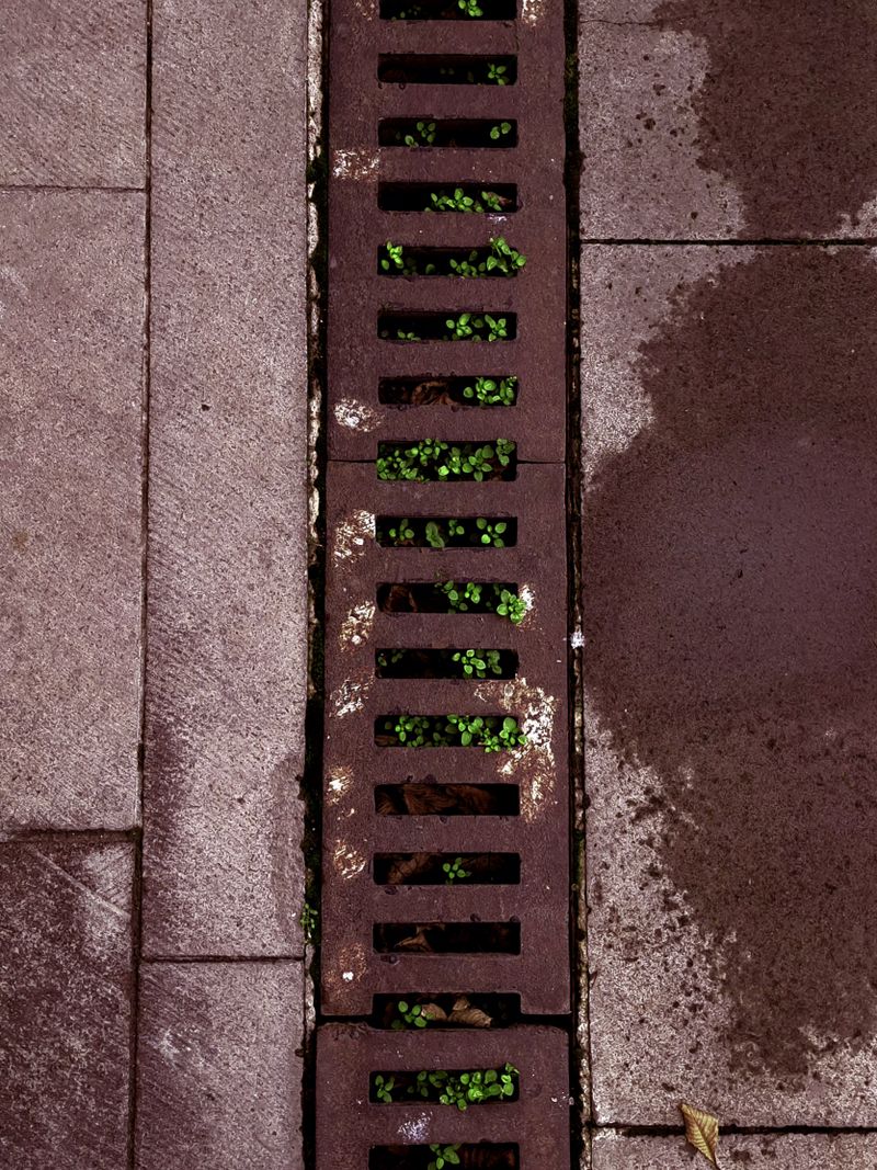 French Drain Installation Guide