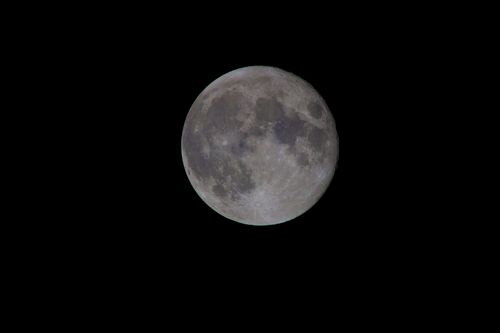Free Captivating view of the full moon's craters and surface details in a clear night sky. Stock Photo