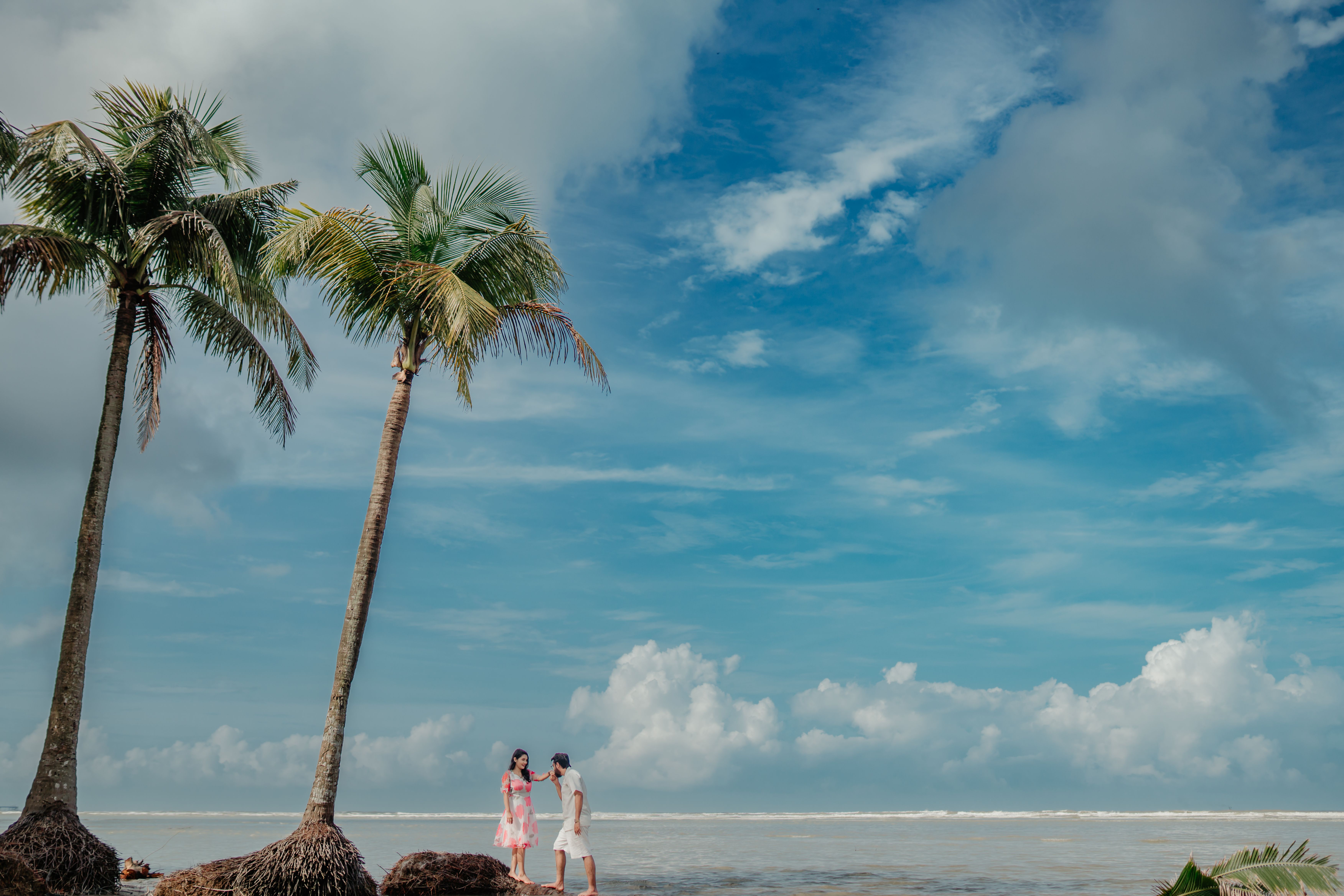 Serene Tropical Beach Scene with Palm Trees · Free Stock Photo