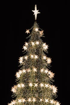 Stunning Christmas tree adorned with lights and star-shaped decorations, captured at night.