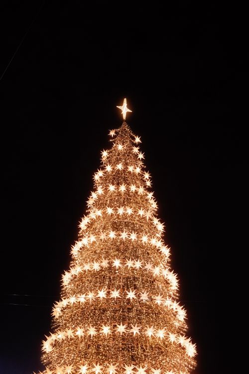 Free Glowing Christmas tree decorated with lights against night sky in Lisbon, Portugal. Stock Photo
