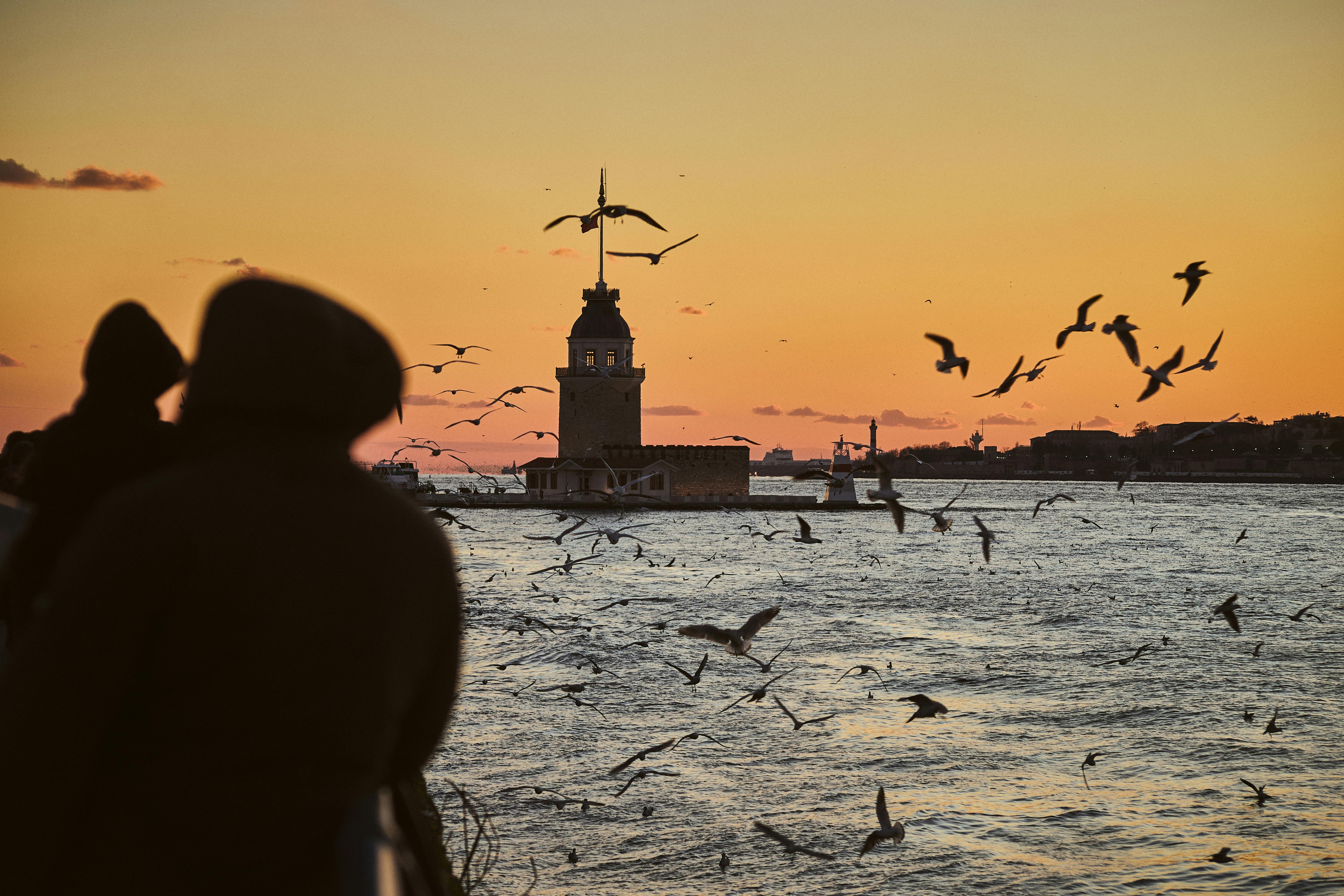 國防：瘋狂川普再推軍事擴張！美軍預算增幅50%引發市場熱潮