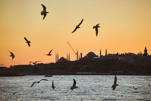 Bosphorus sunset private boat — Istanbul