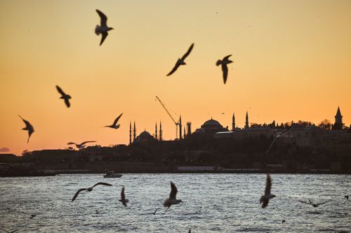 Free A breathtaking view of the Istanbul skyline at sunset with seagulls soaring above the Bosphorus. Stock Photo