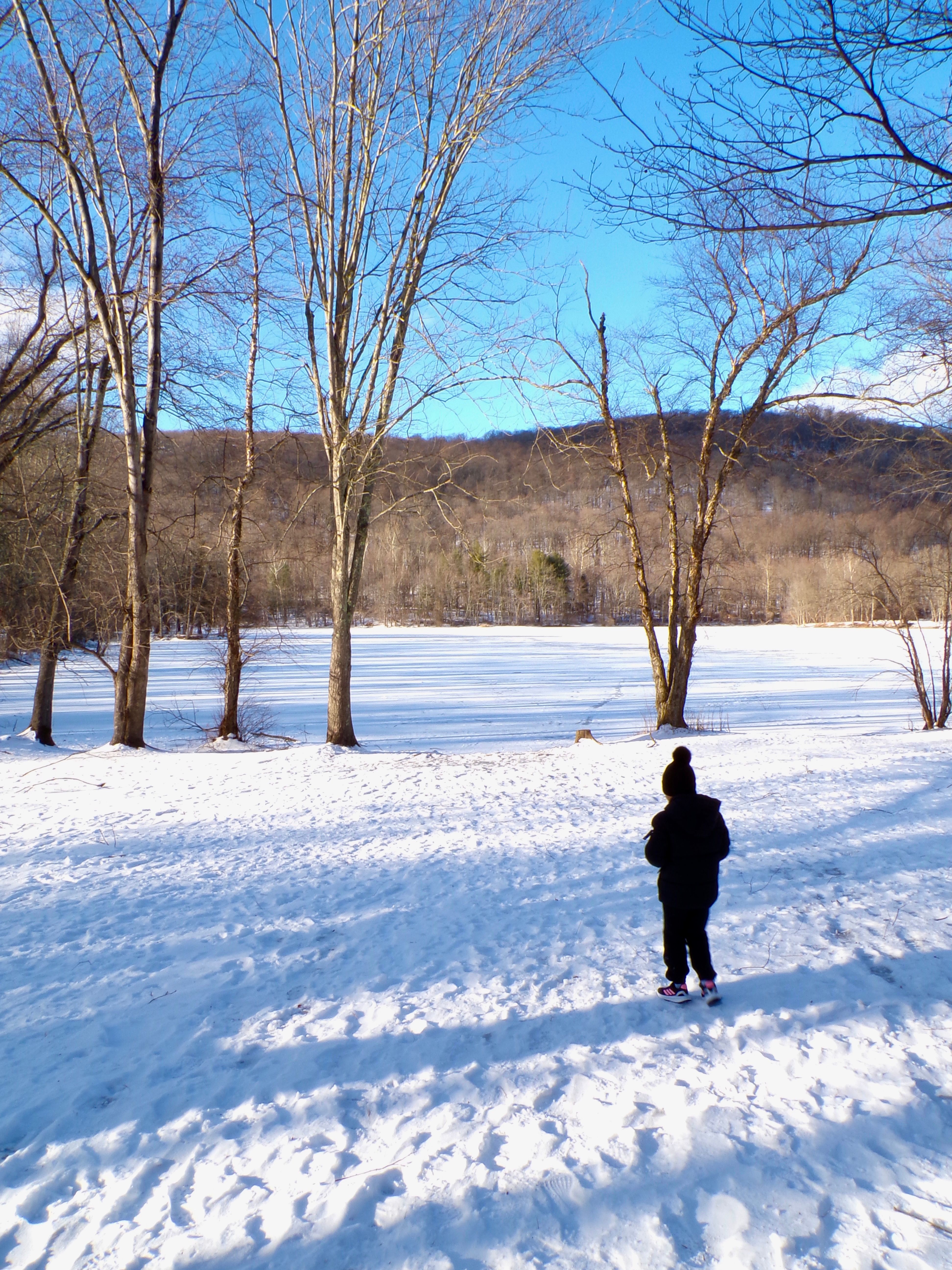 Child Exploring Snowy Mahwah Landscape · Free Stock Photo