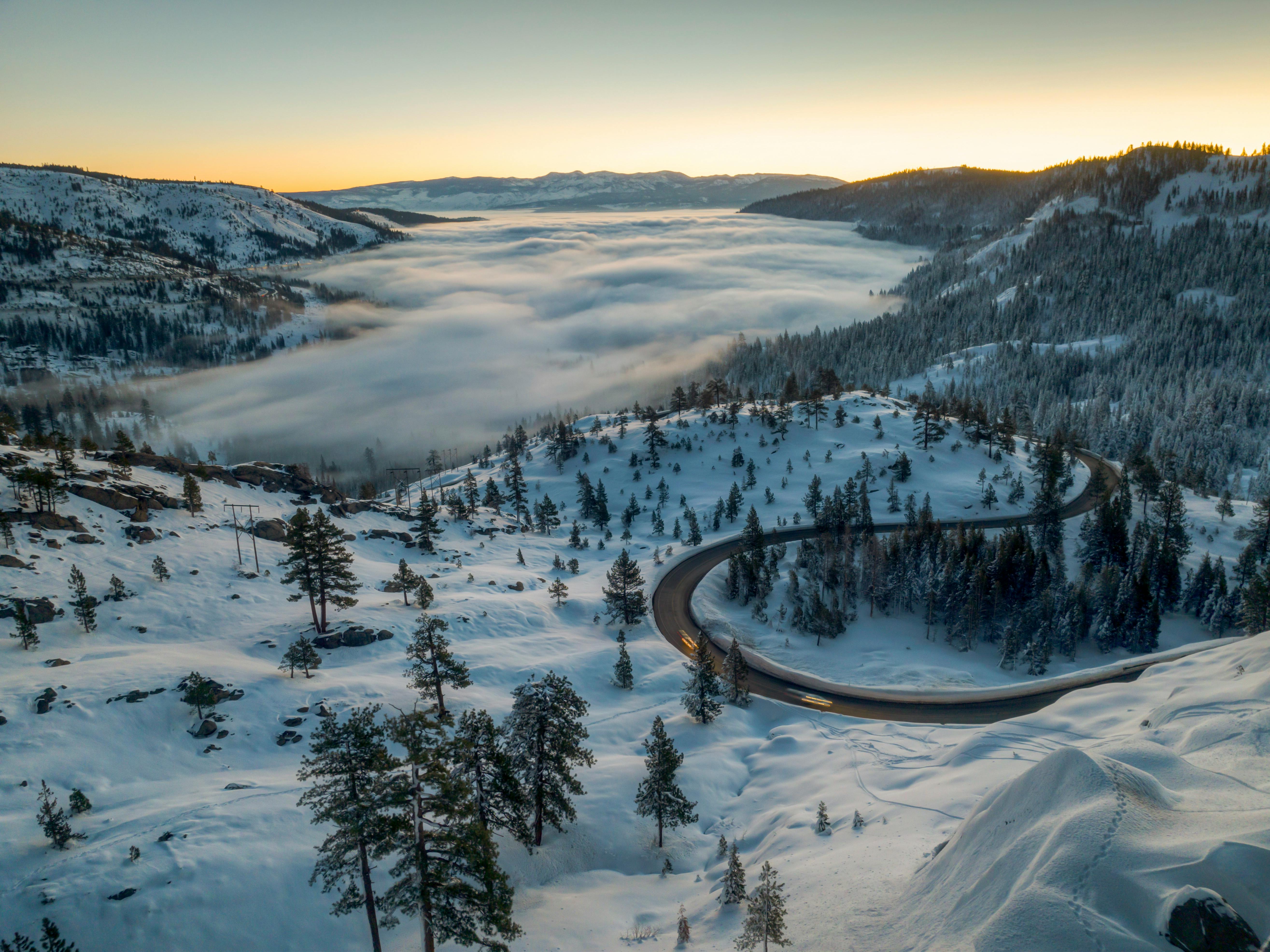 The Future of Digital Innovation