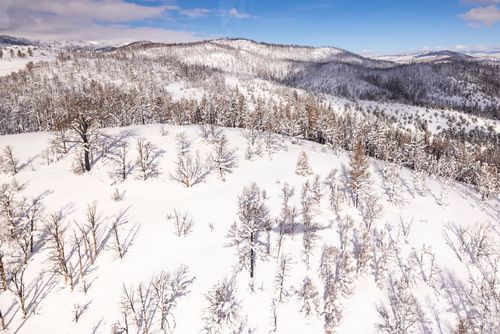 Free Aerial view of a snow-covered forest during winter showcasing a serene and expansive landscape. Stock Photo