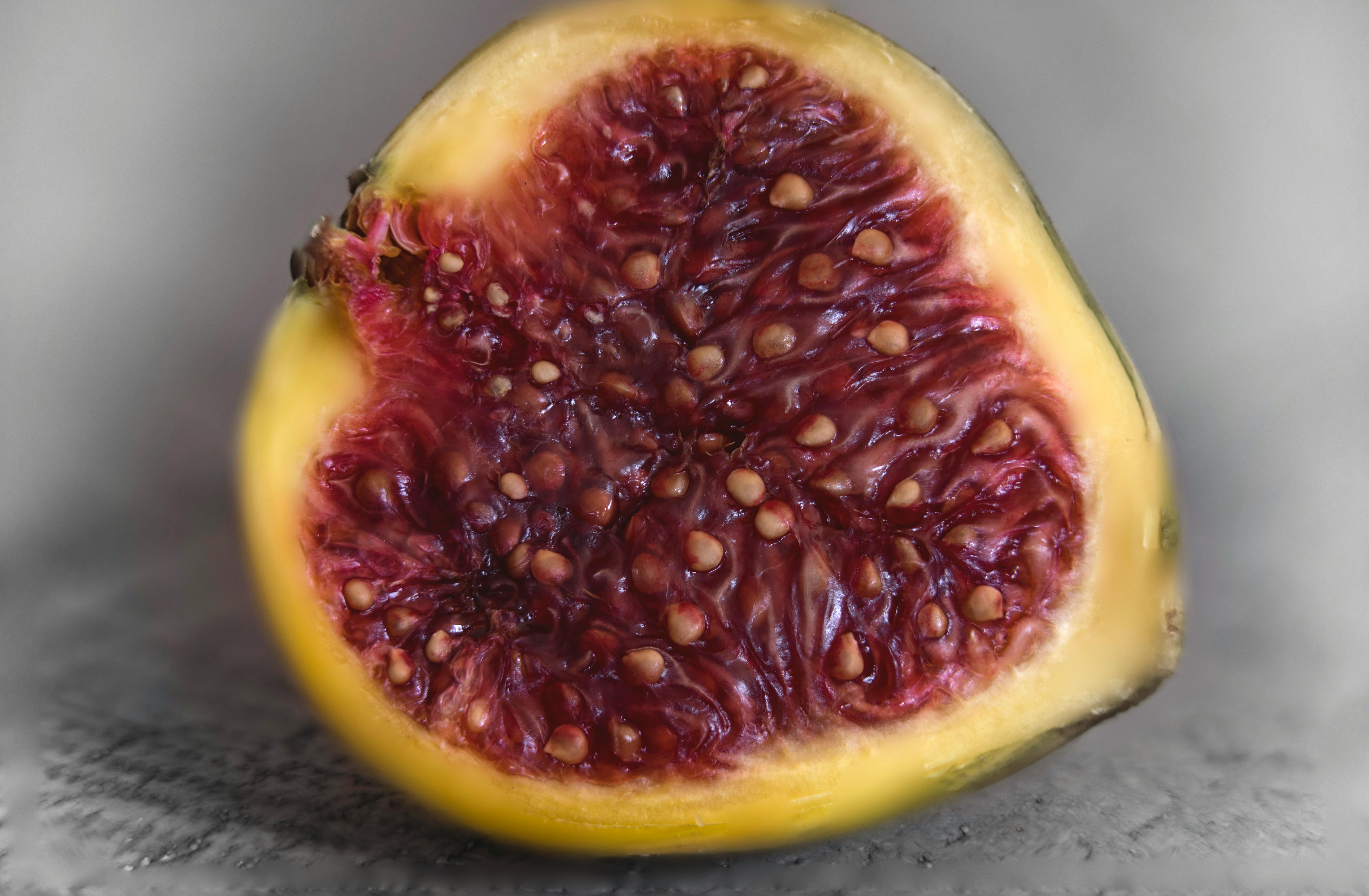 Gratis arkivbilde med anlegg, avling, botanikk Arkivbilde