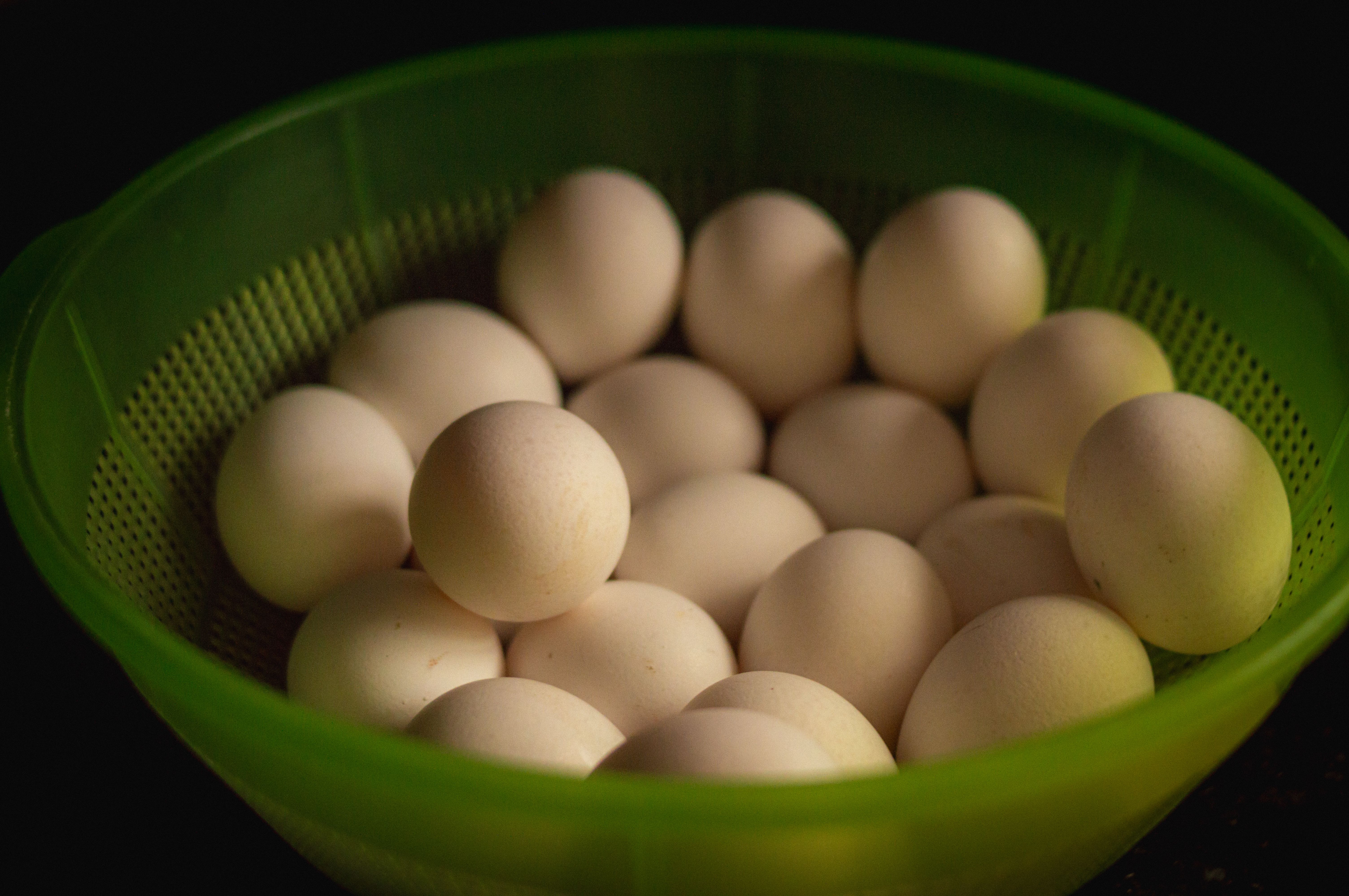 Egg carton in refrigerator for proper storage of fresh eggs
