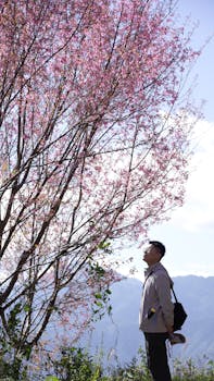 Image by Vũ Adventures