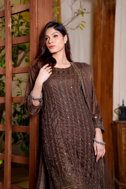 Portrait of a model in a brown traditional dress, indoors, Lahore setting. - How to Shop Online Effectively for Ladies Dresses