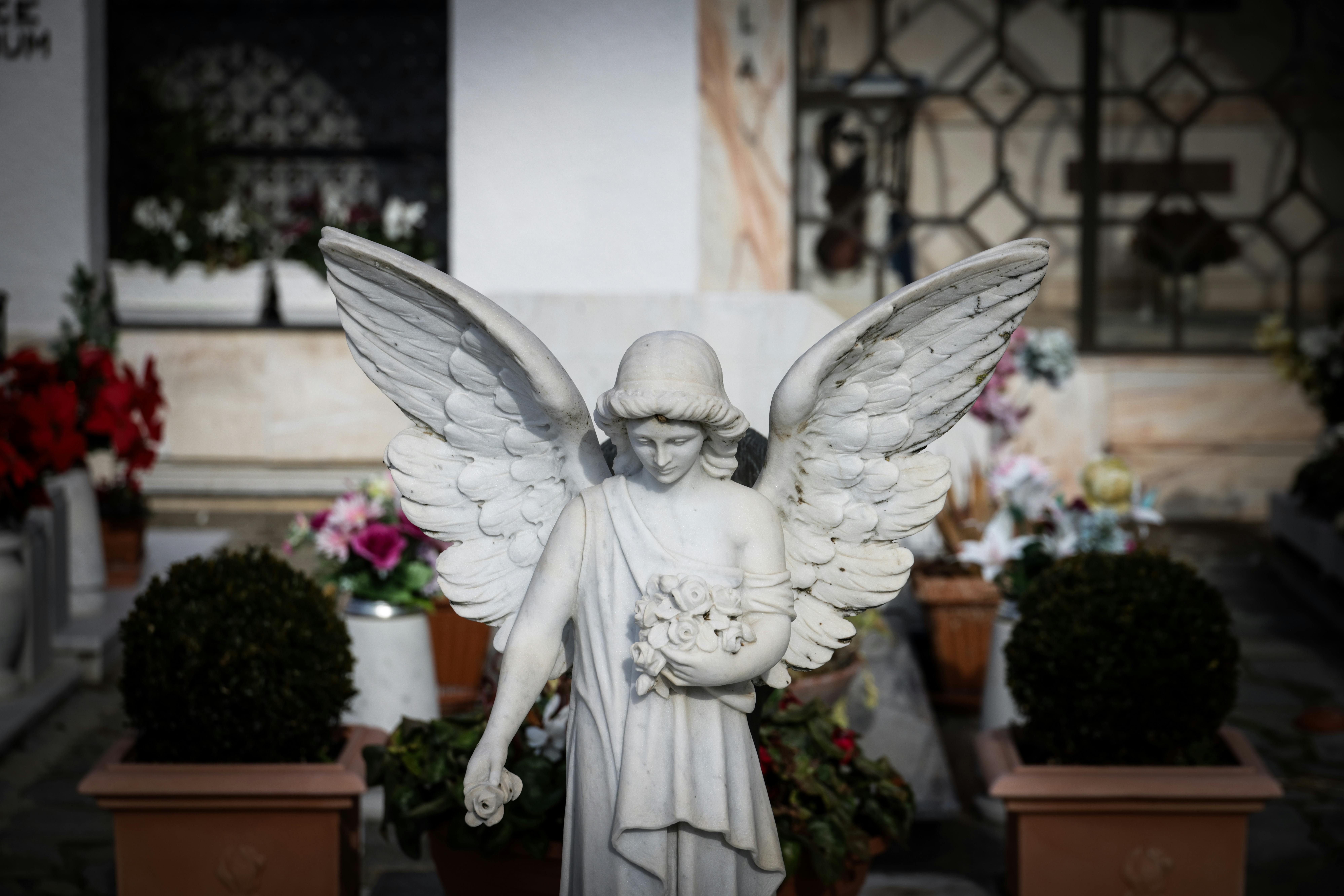 Discover the Secret Scent Memories That Transform Your Mood