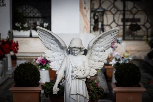 Free A serene angel statue with flowers in an old cemetery symbolizing remembrance and peace. Stock Photo