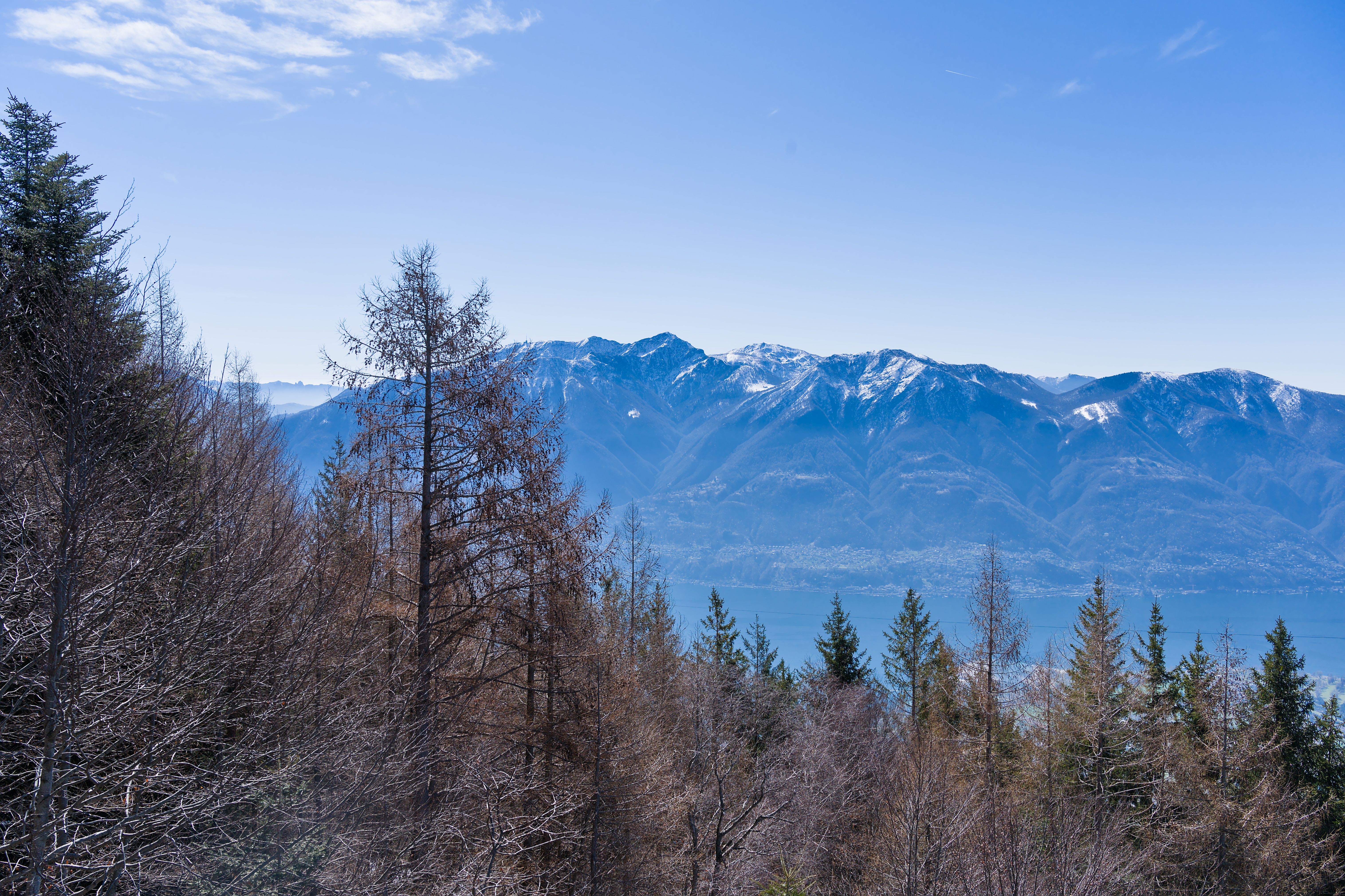 Scenic view of snowy Alps and lush forests above Lake Maggiore in Switzerland.