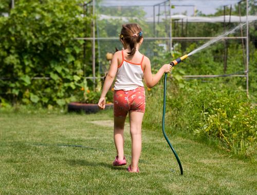 Free Back view of a young girl watering a garden with a hose on a sunny day. Stock Photo
