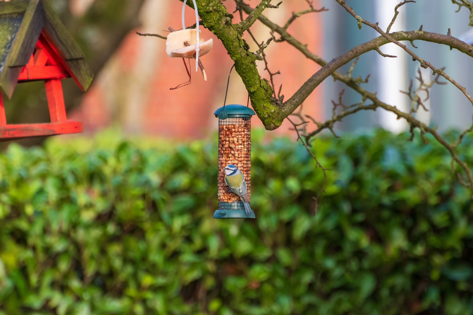 reflective tape garden bird deterrent UK