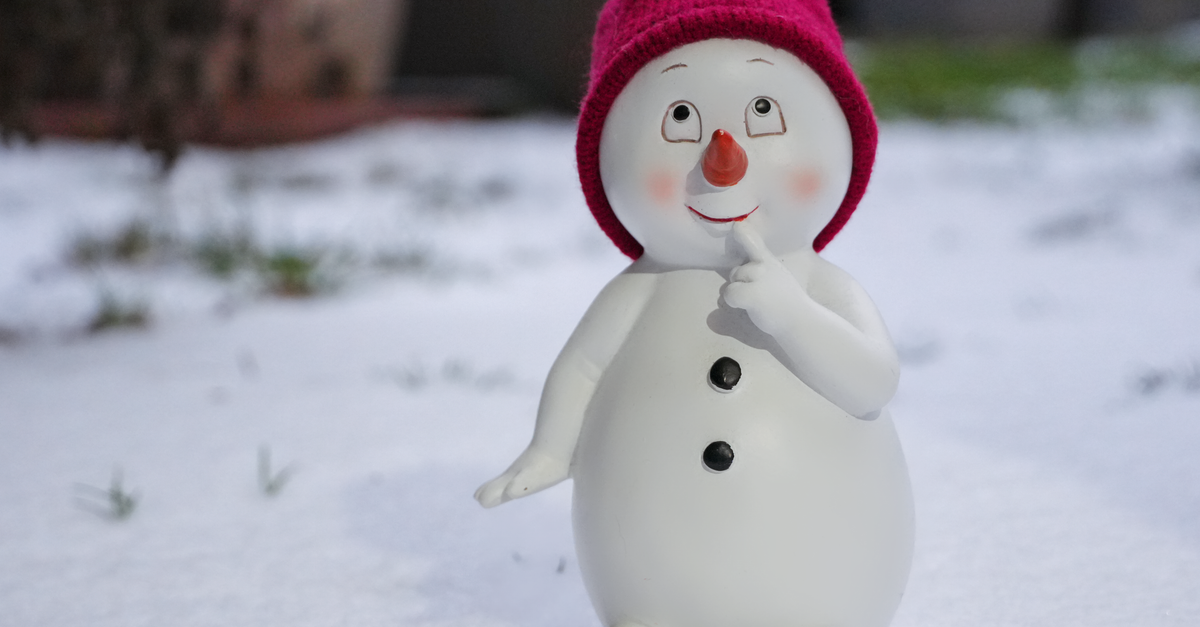 Comment choisir les meilleures plantes pour votre jardin d'hiver