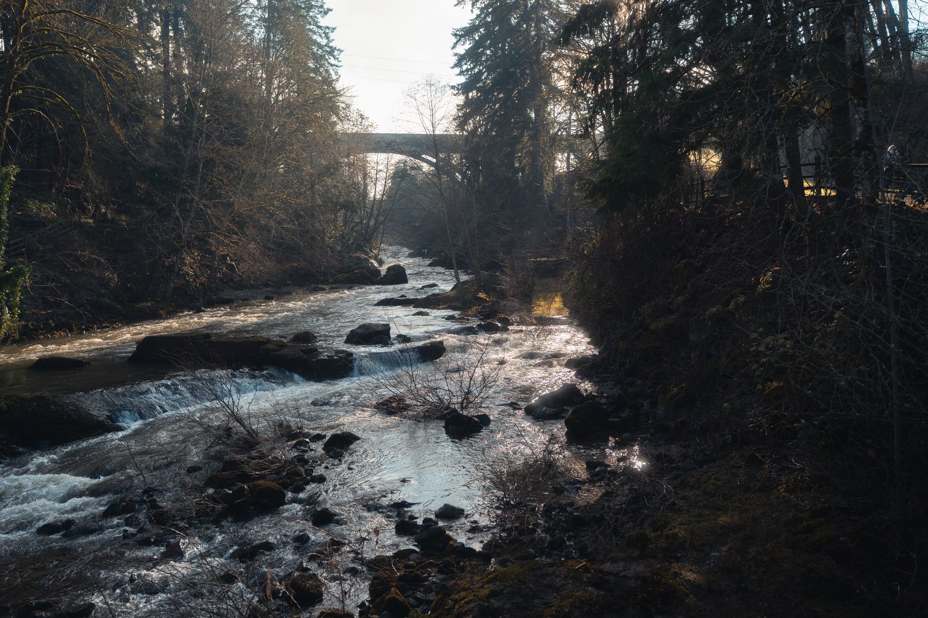 A serene view of a river flowing under a bridge in Tumwater, WA, surrounded by lush forest.