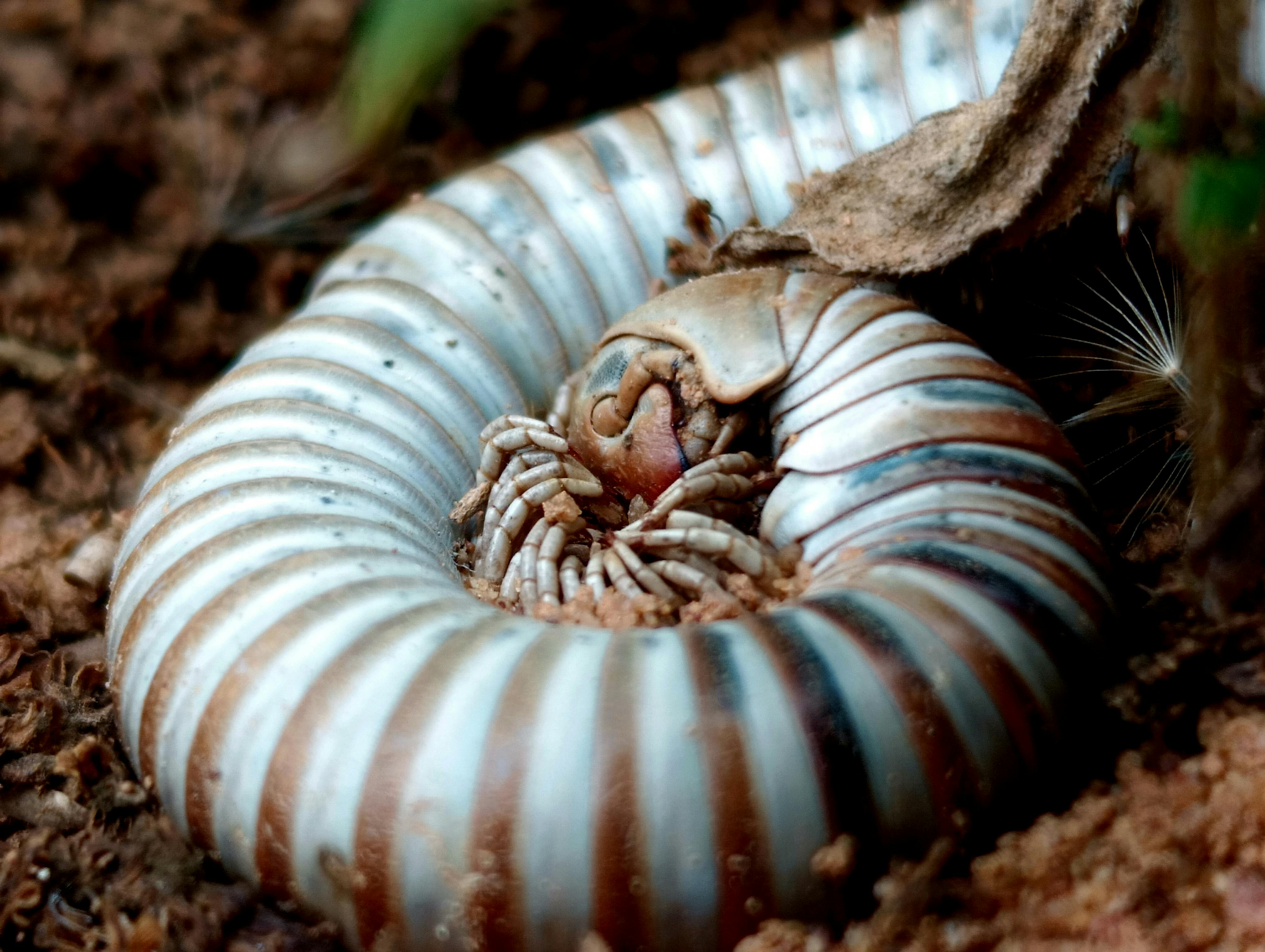 Anduril創始人拉基支持特朗普對國防承包商薪酬限制提議