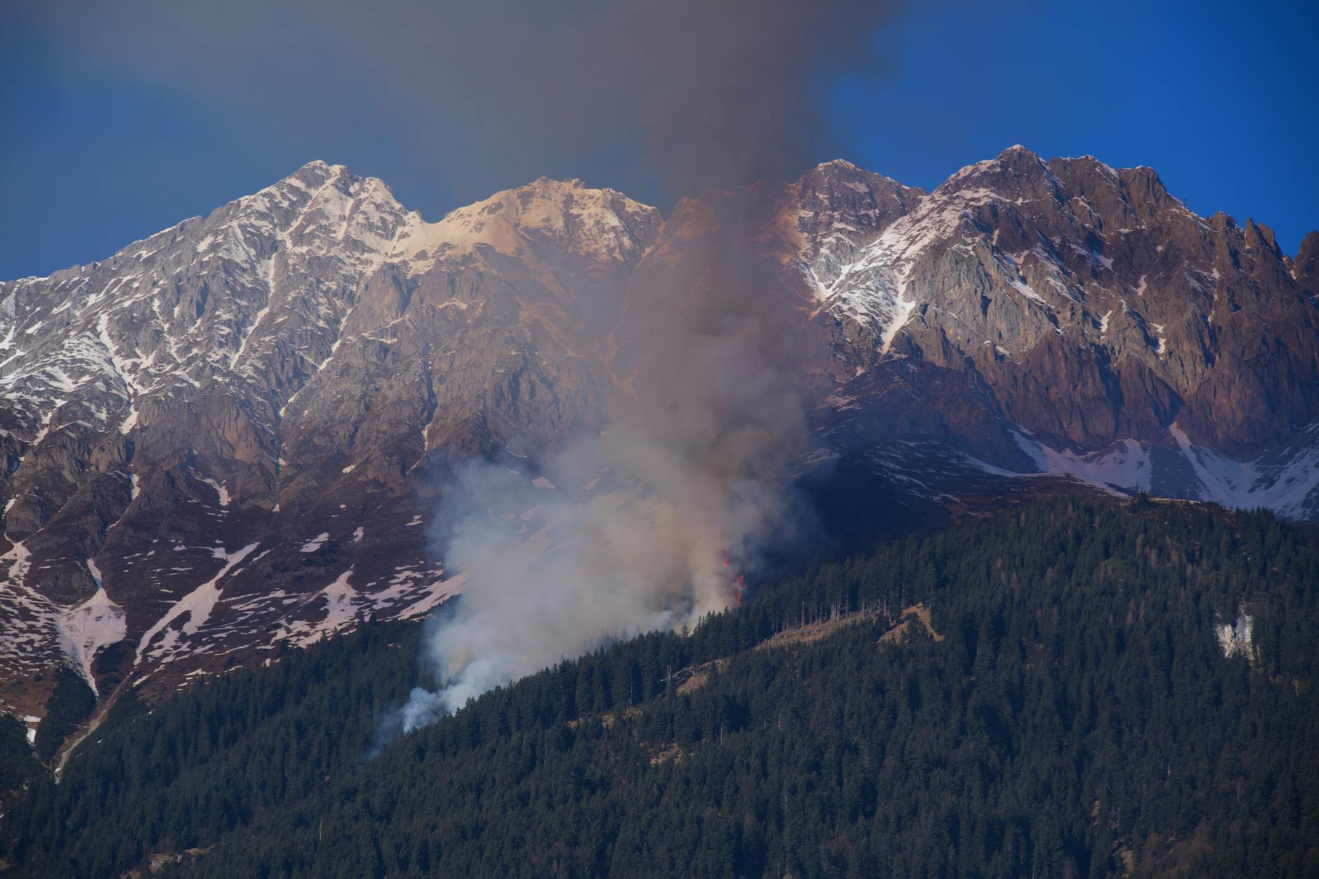 Spacious eco-luxury suite with natural materials and floor-to-ceiling windows overlooking forest