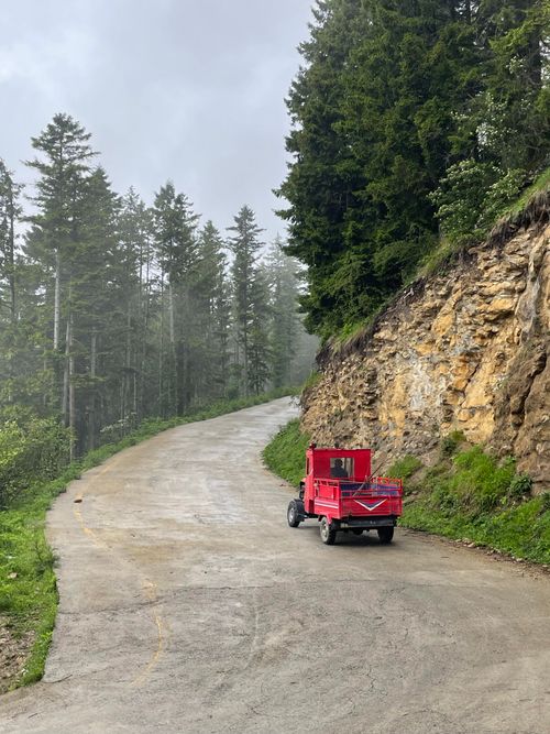 Free A vibrant red truck navigating a winding mountain road surrounded by lush forest. Stock Photo