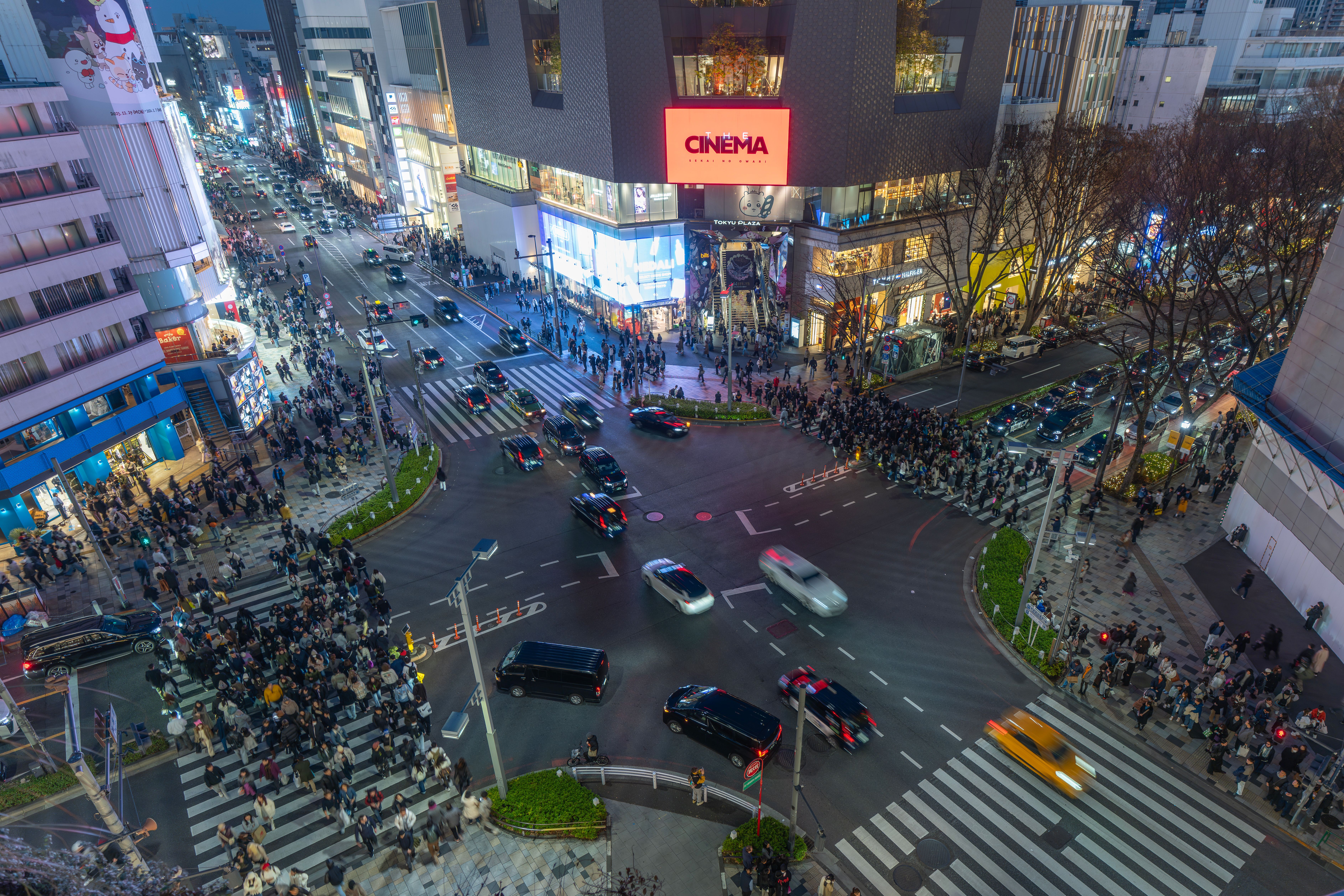 Vibrant Night Scene at Shibuya Crossing in Tokyo · Free Stock Photo