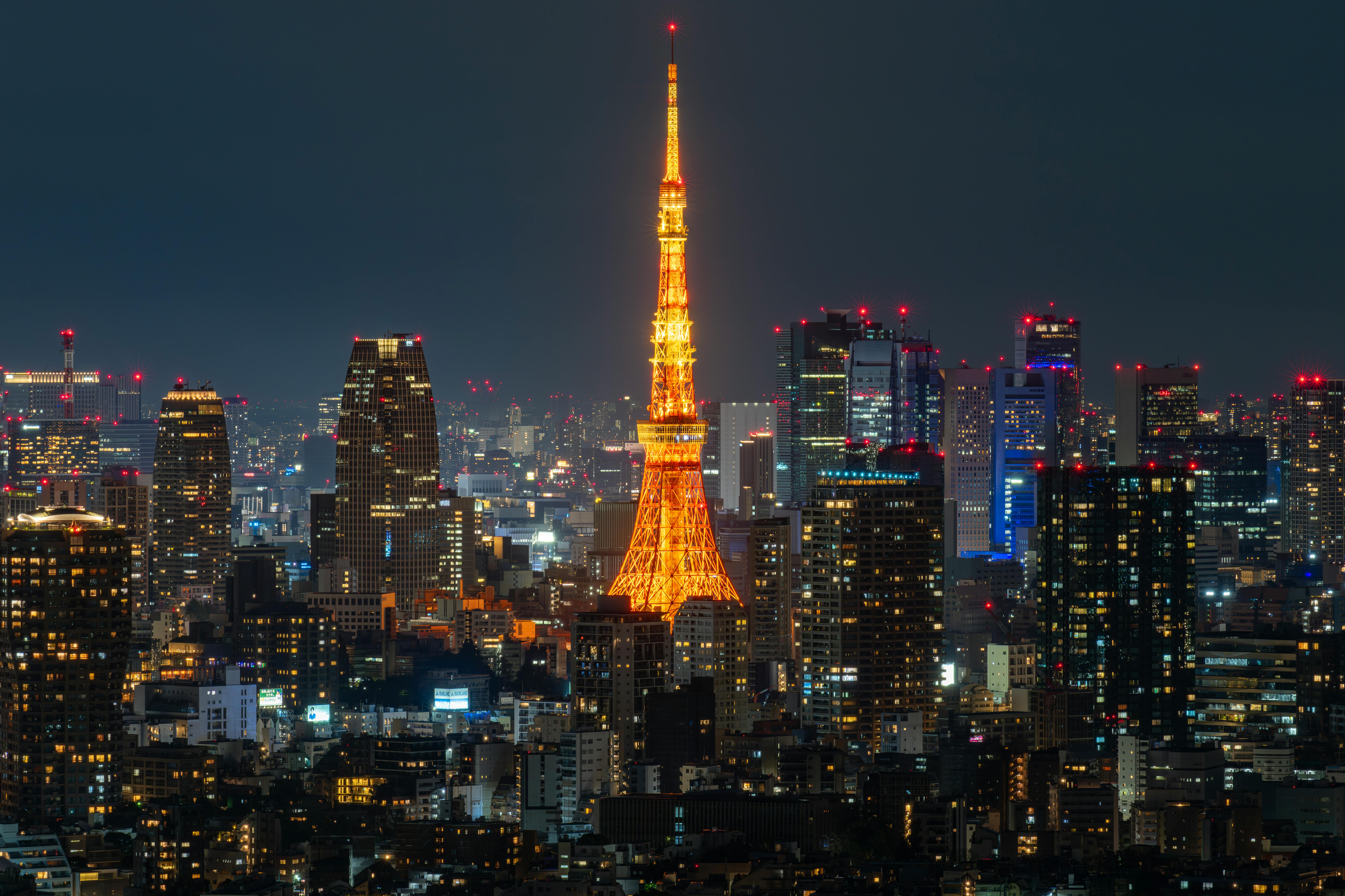 immigration lawyer tokyo — Photo by Timo Volz on Pexels