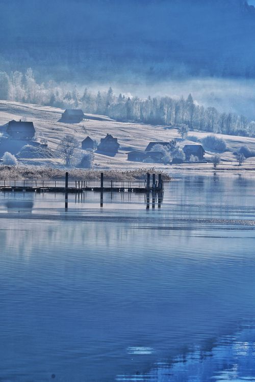 Free Peaceful winter scene of a lake with frosty landscape and misty trees. Stock Photo