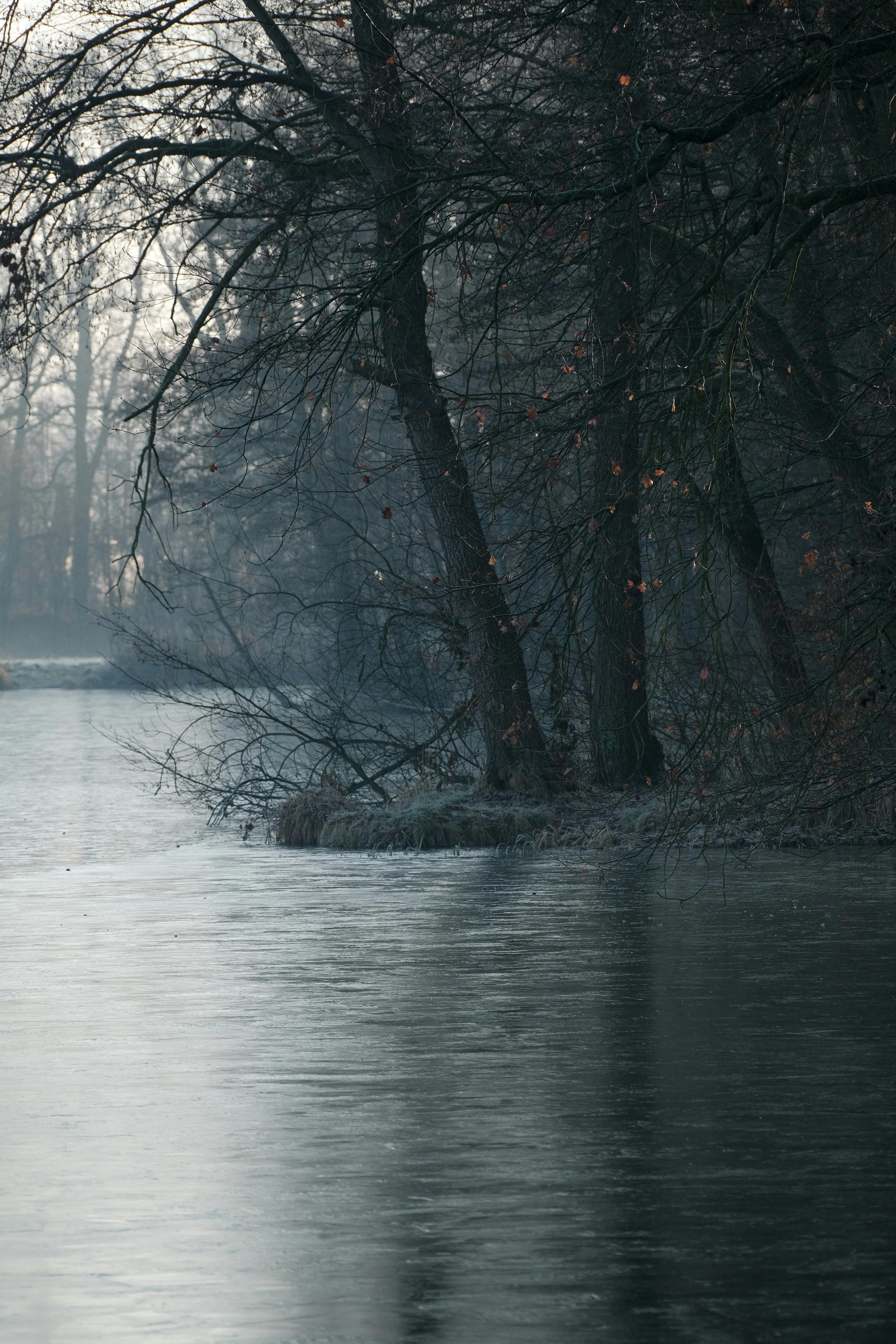 Wisconsin Bank Photos, Download The BEST Free Wisconsin Bank Stock ...