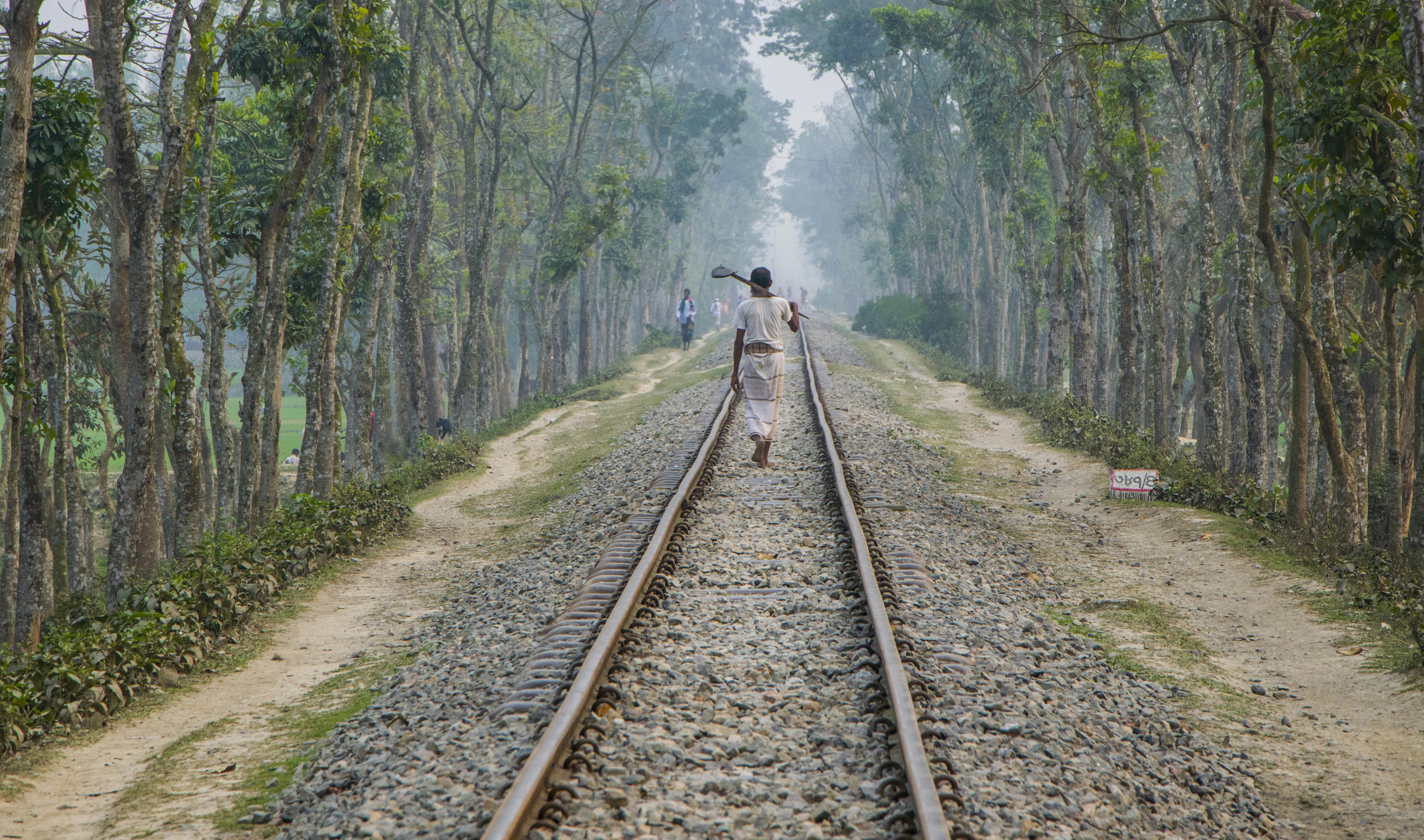 Meditation For Peace